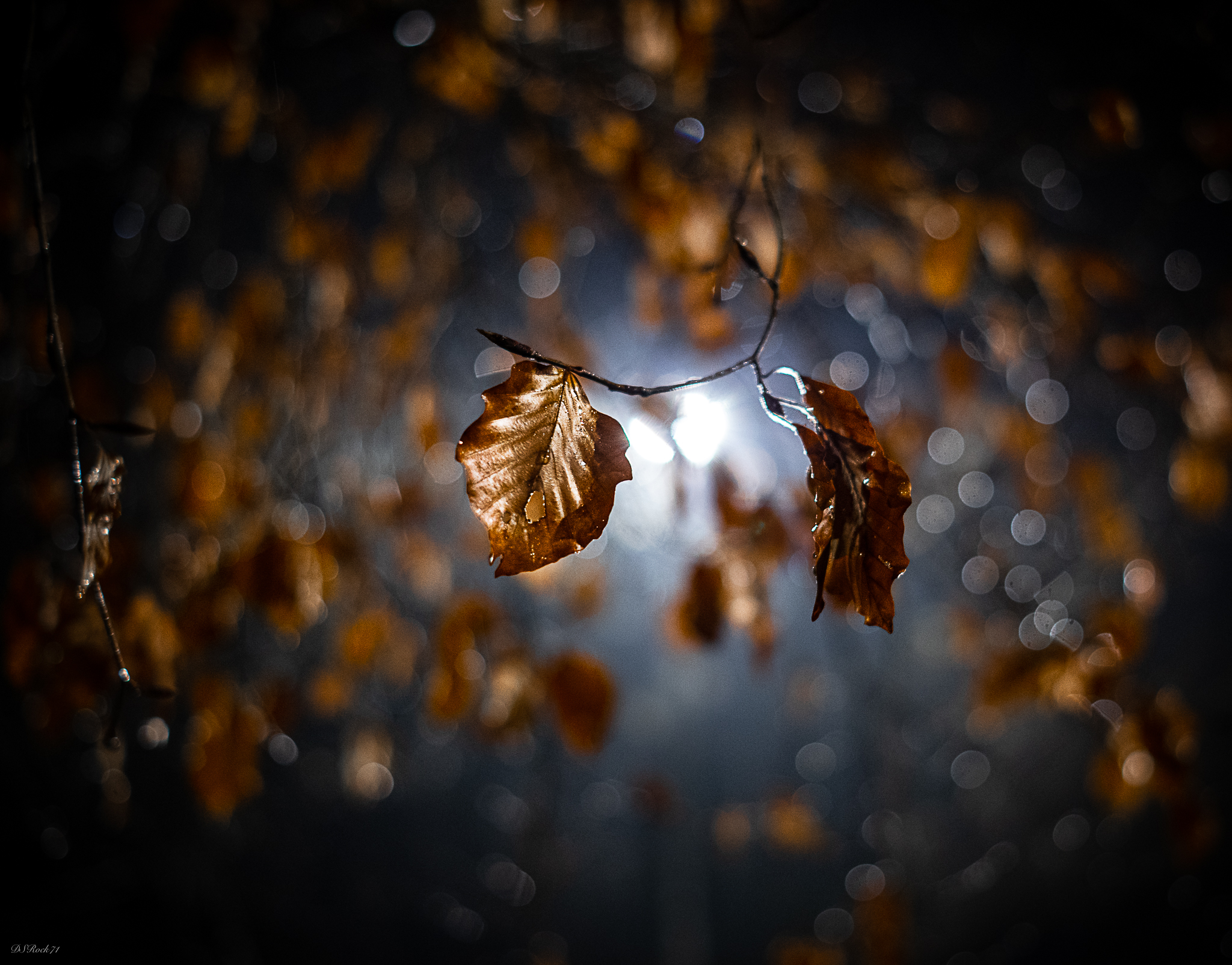 01/01/2023 - h 22;00