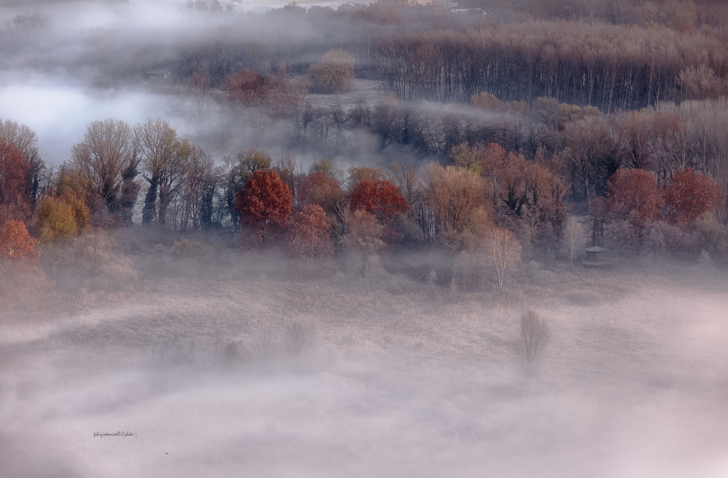 l'osservatorio della palude