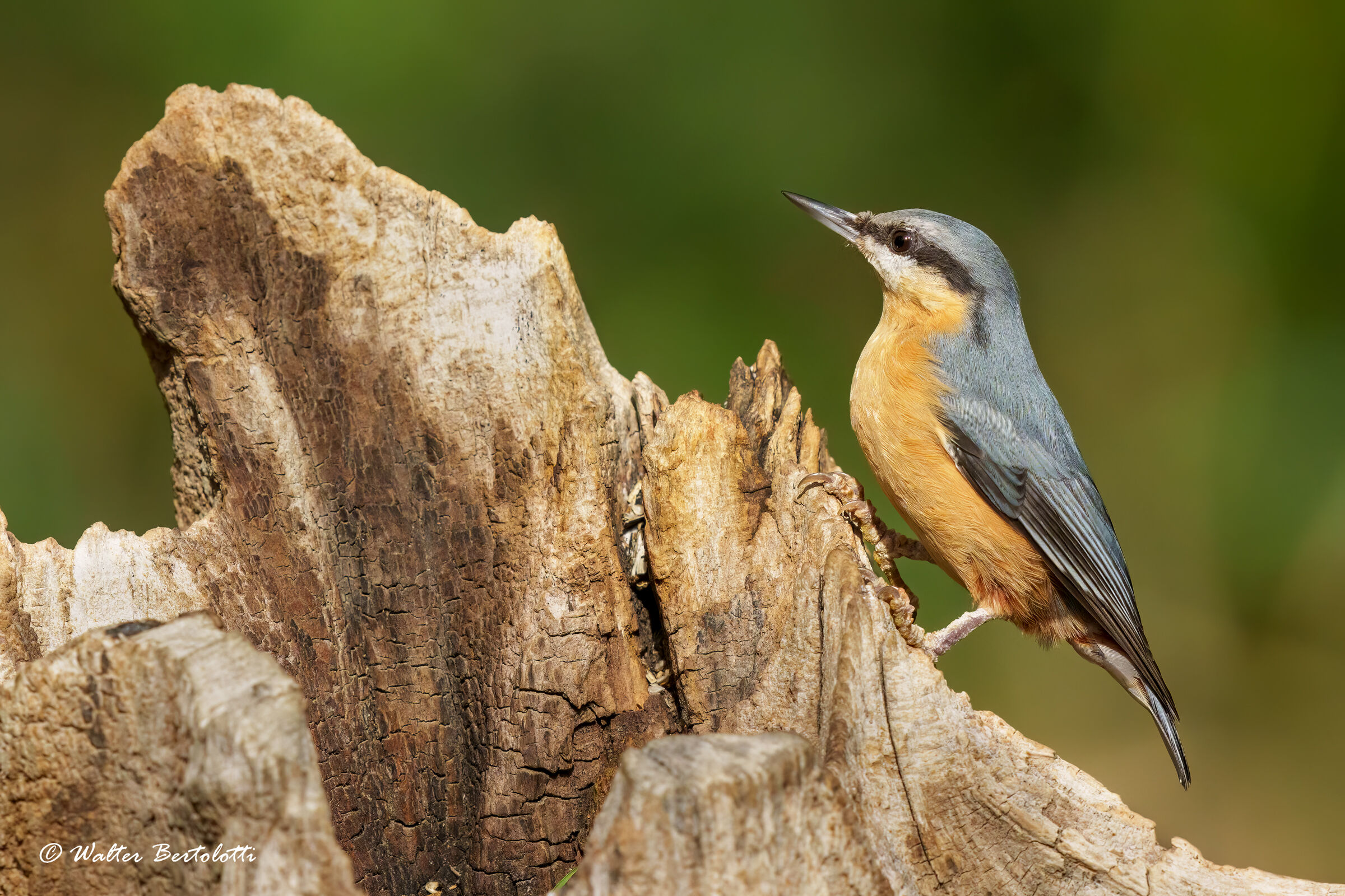 installation for... Photographers