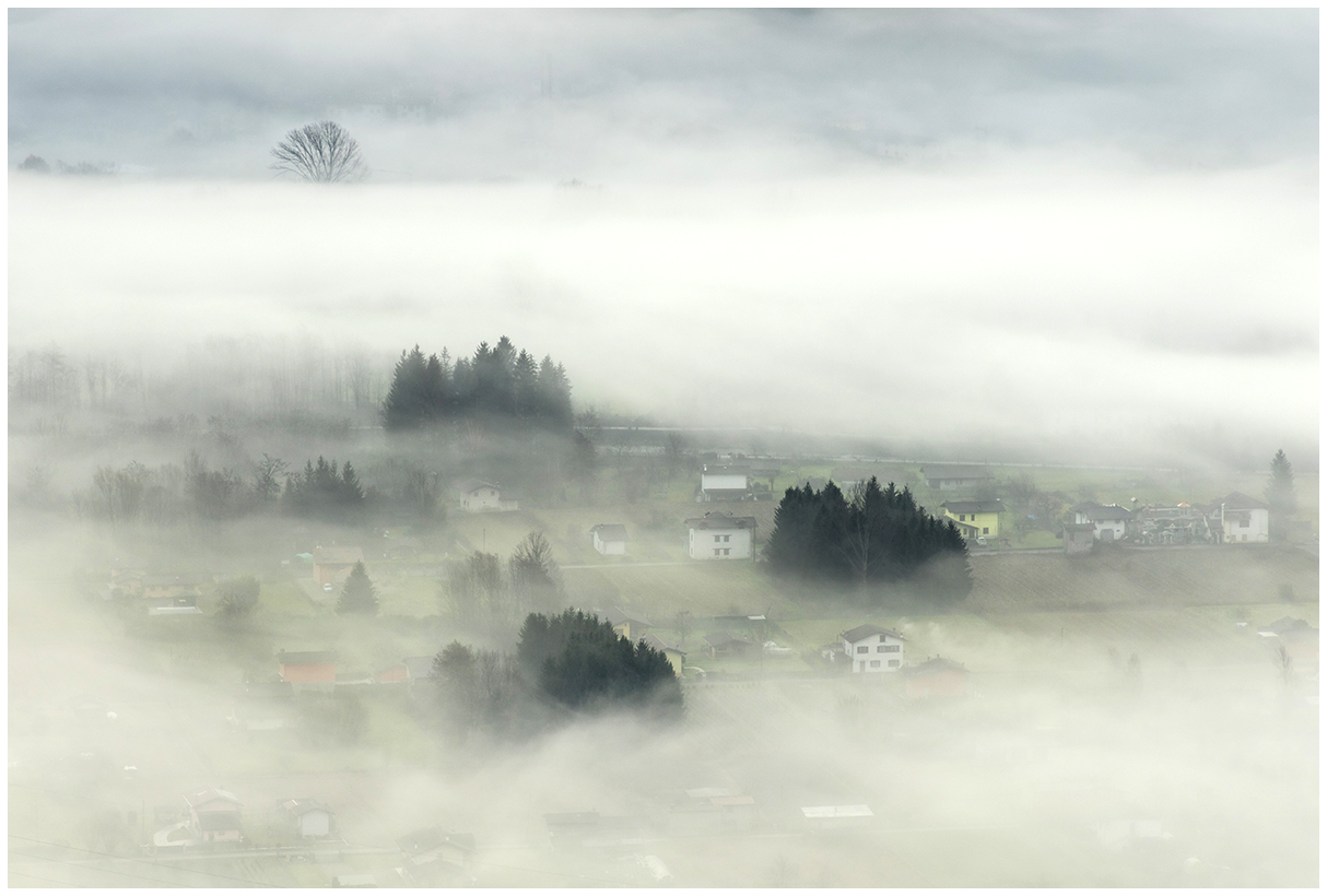 una mattinata nella nebbia.