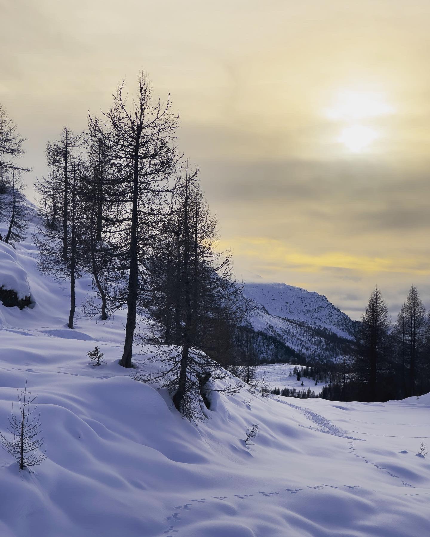 Tramonto alpe campagneda