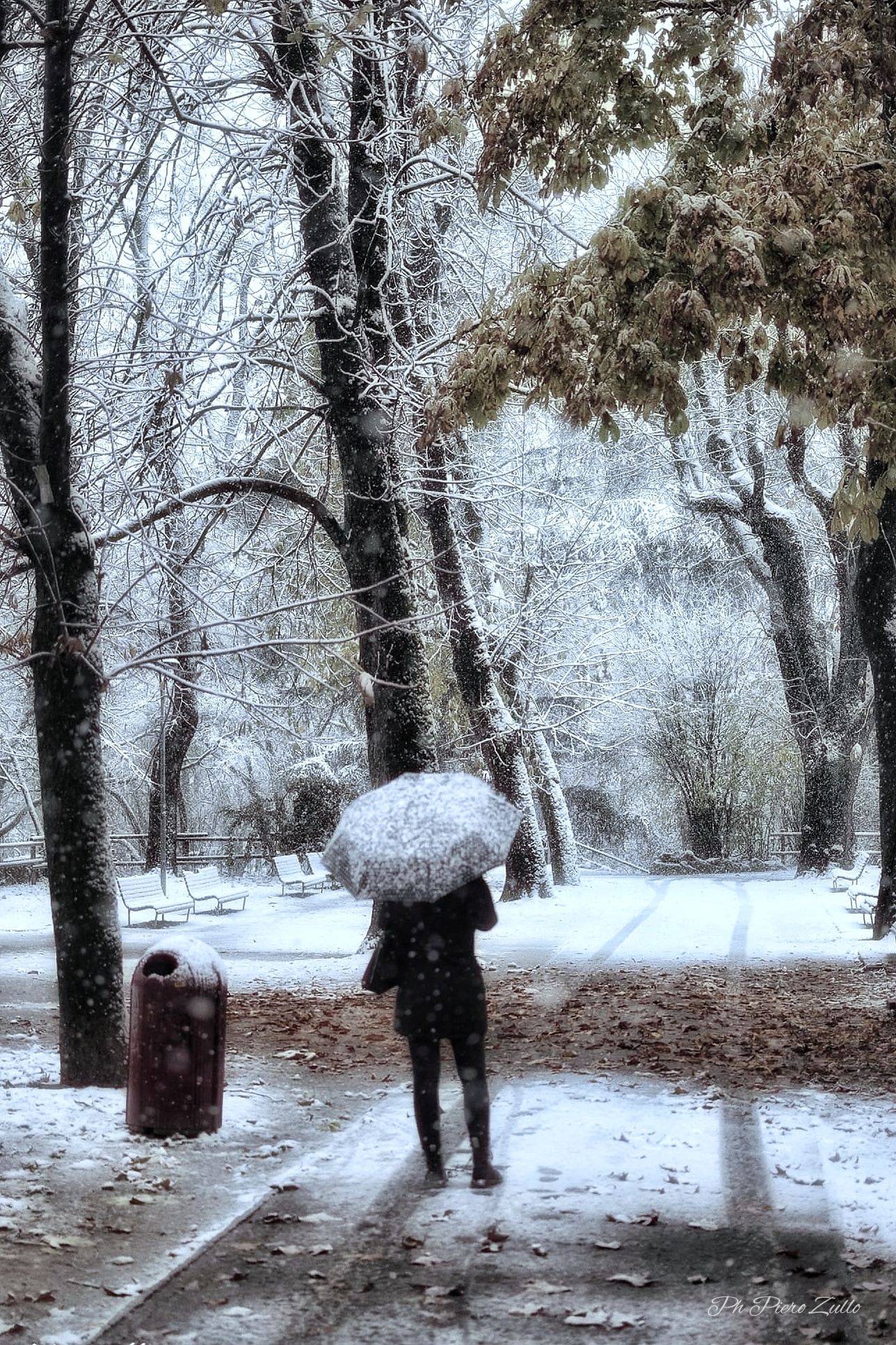 Magiche passeggiate sulla neve