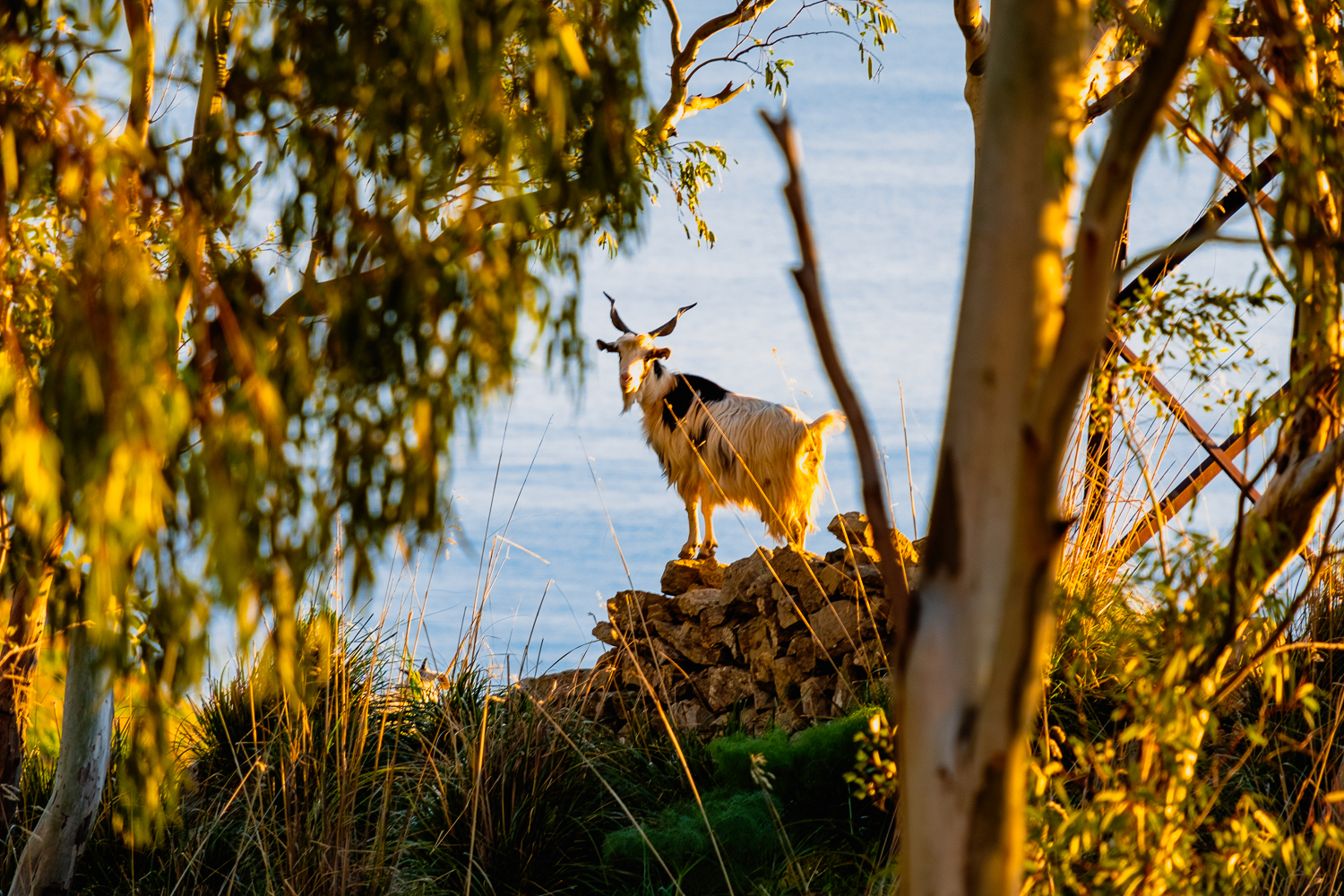 What do you have to watch?