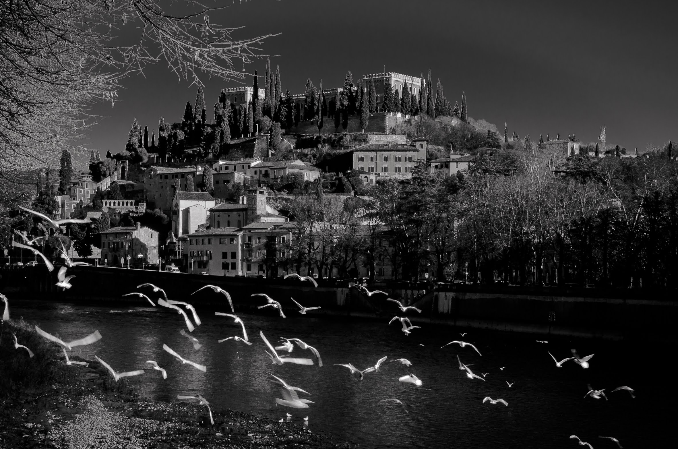 Between Hitchcock and Giacomelli (irony)