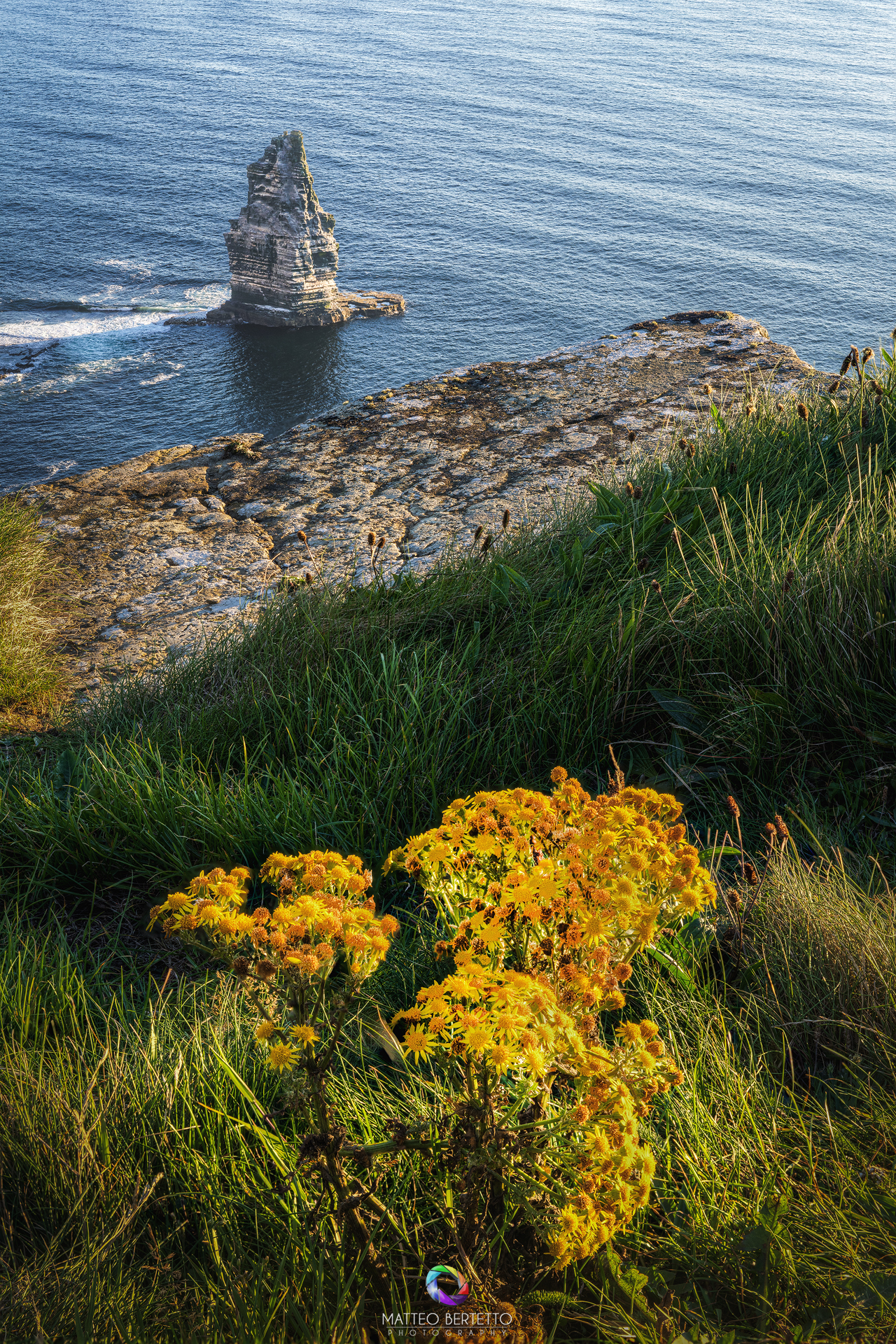 Cliffs of Moher - Irlanda