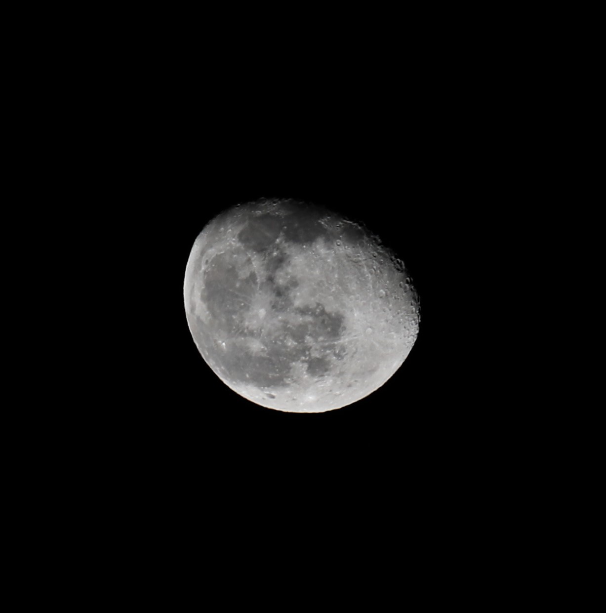 Luna 10 01 2023