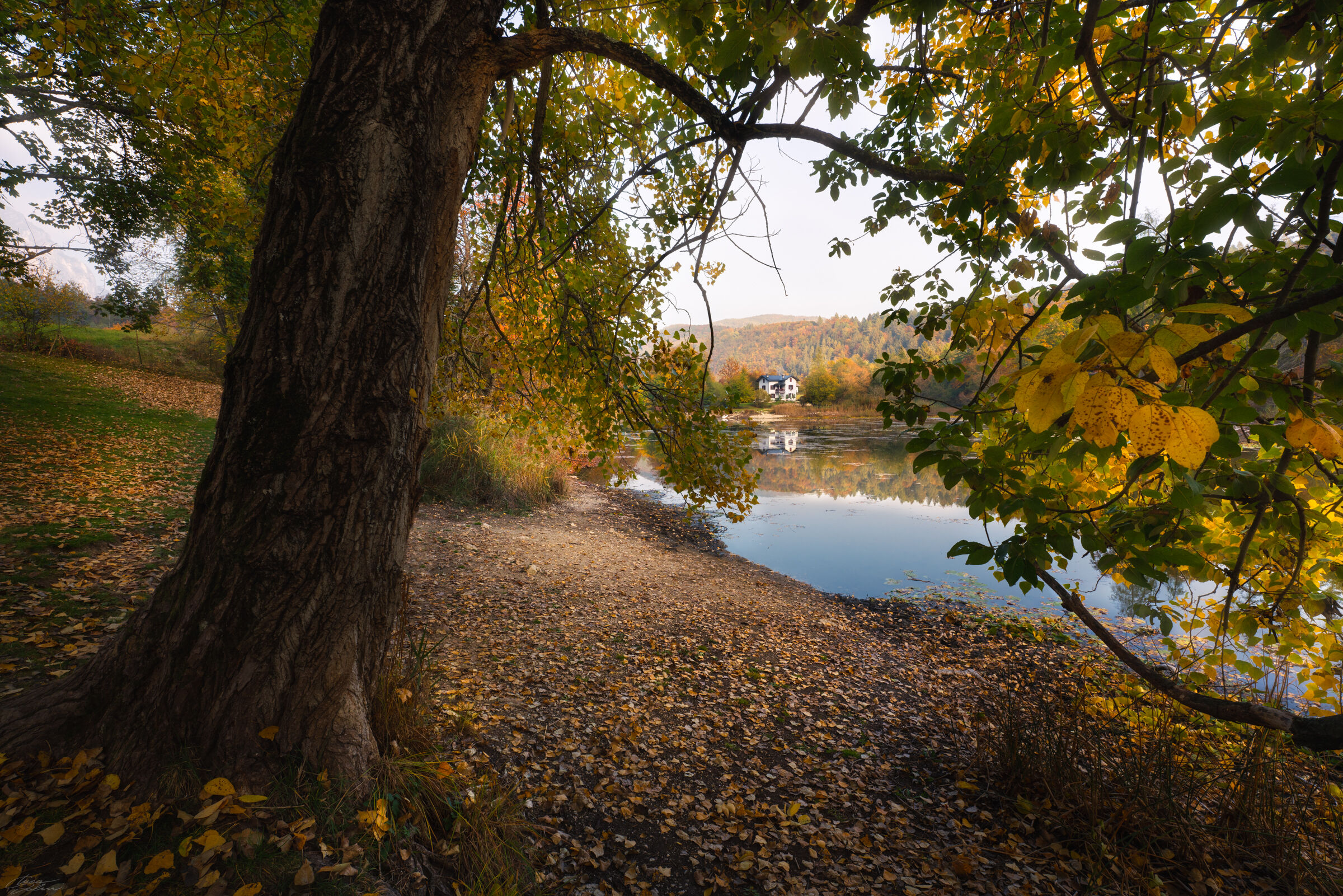 Autumn sensations