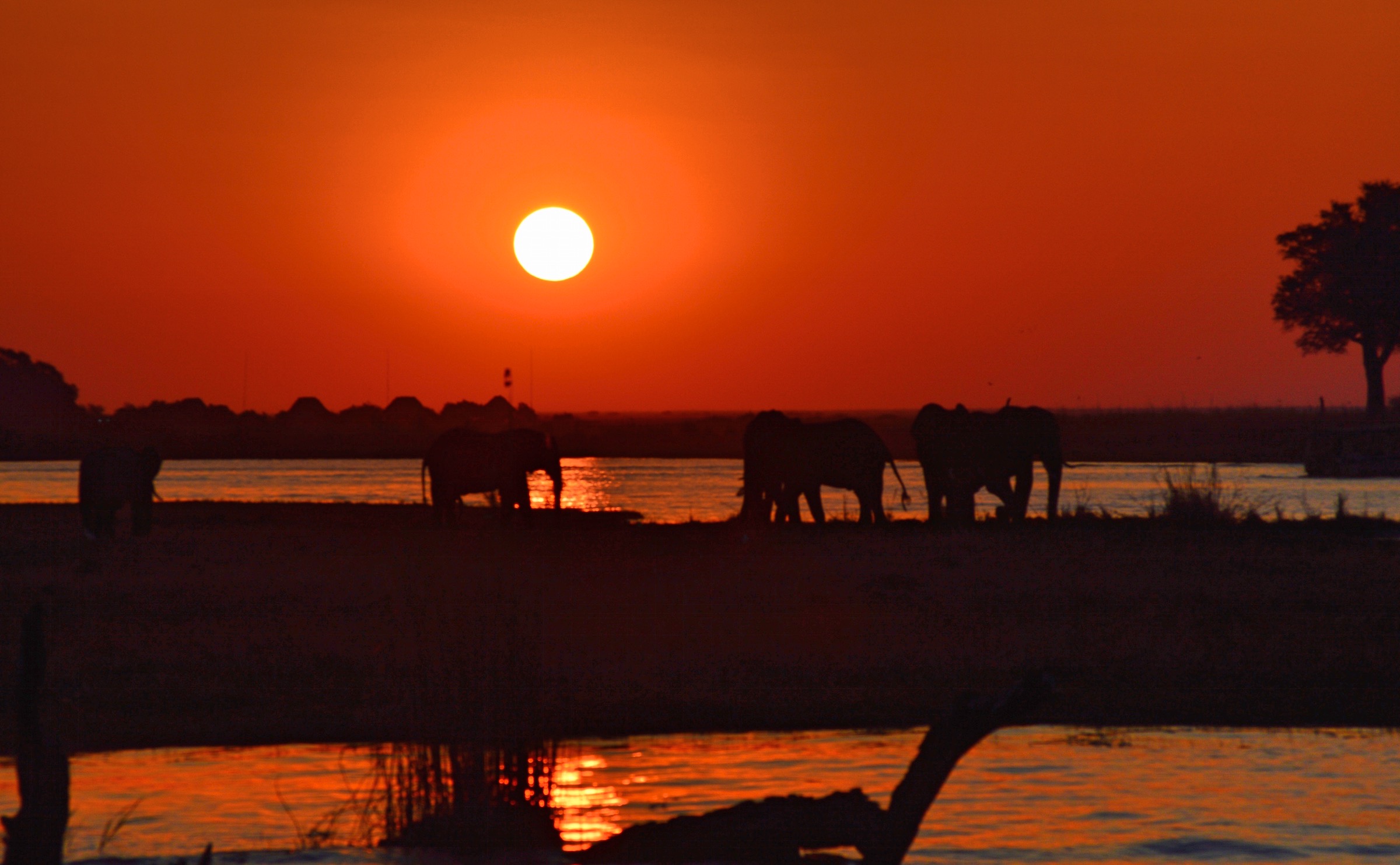 Tramonto sul Lago Chobe - Botswana