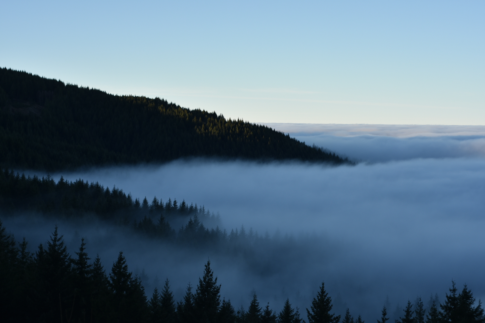 Salendo alla Consuma