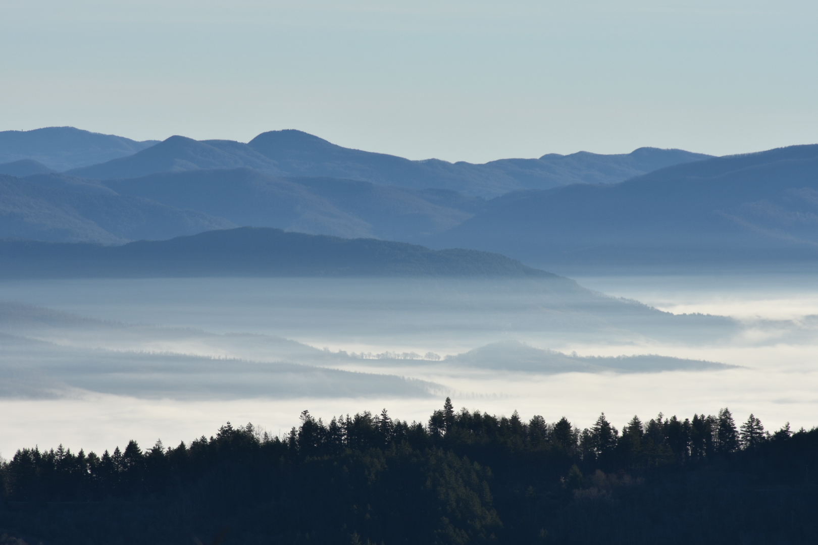 Salendo alla Consuma
