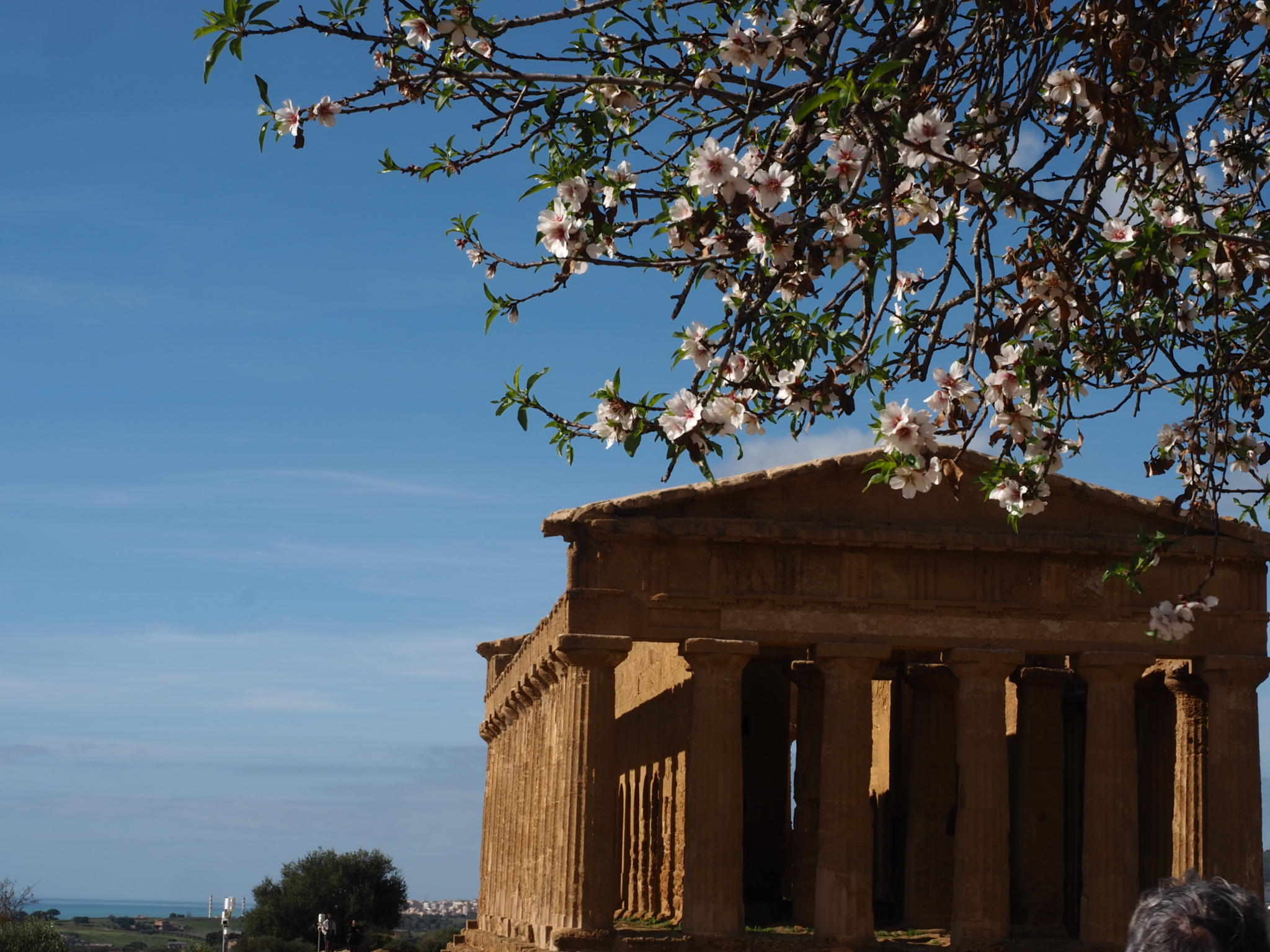 Agrigento