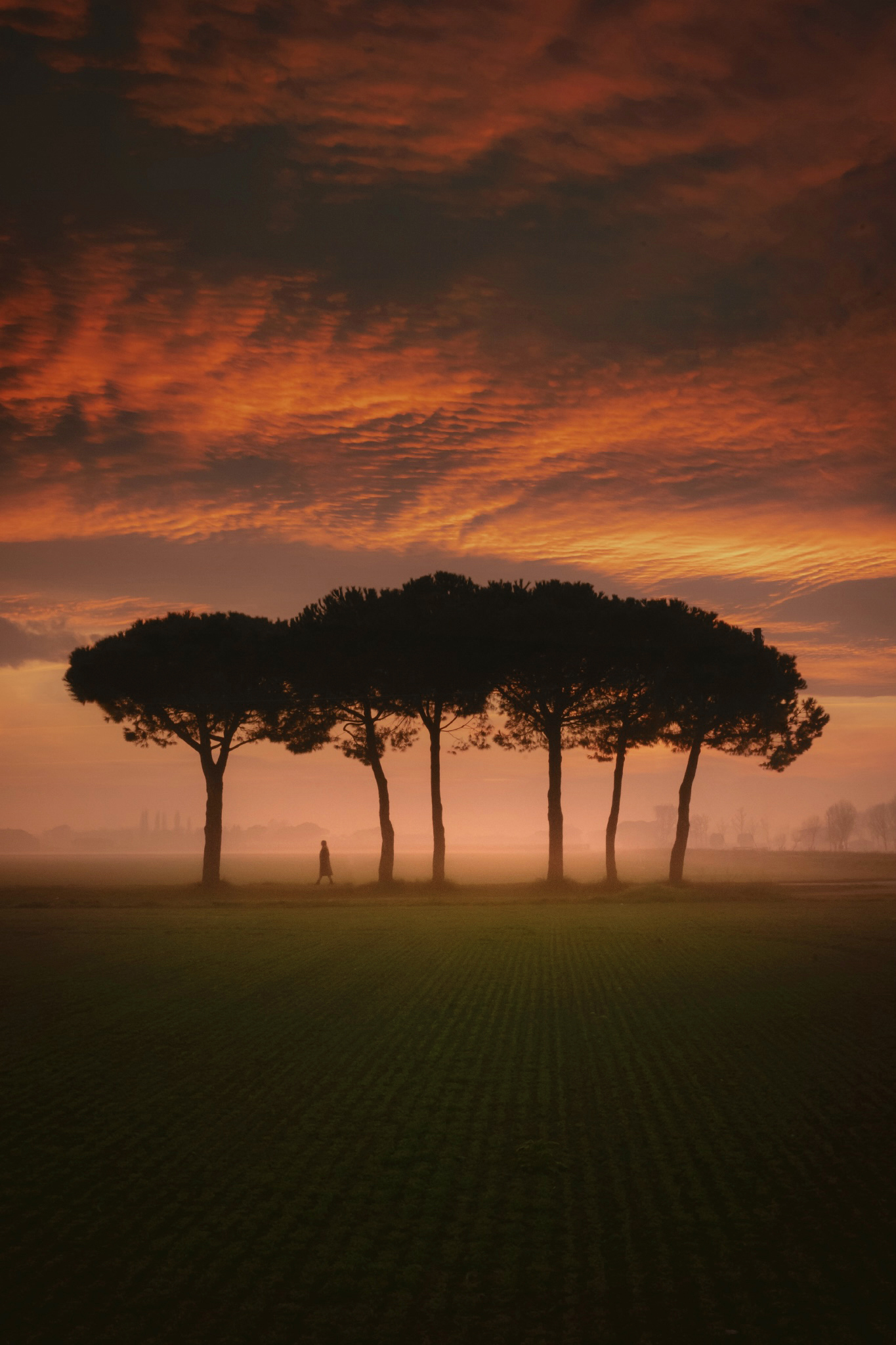 Sunsets on the coast