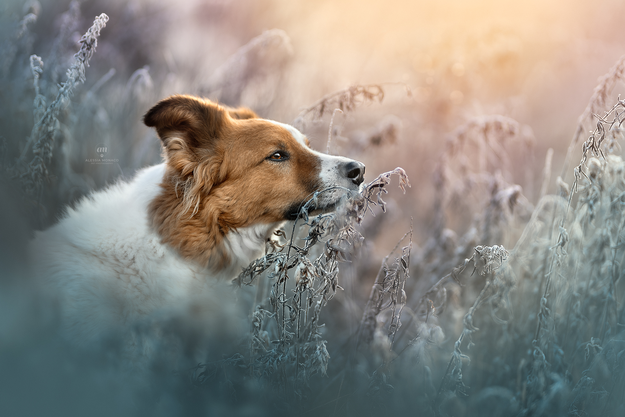 Best wishes Mokoro!!!