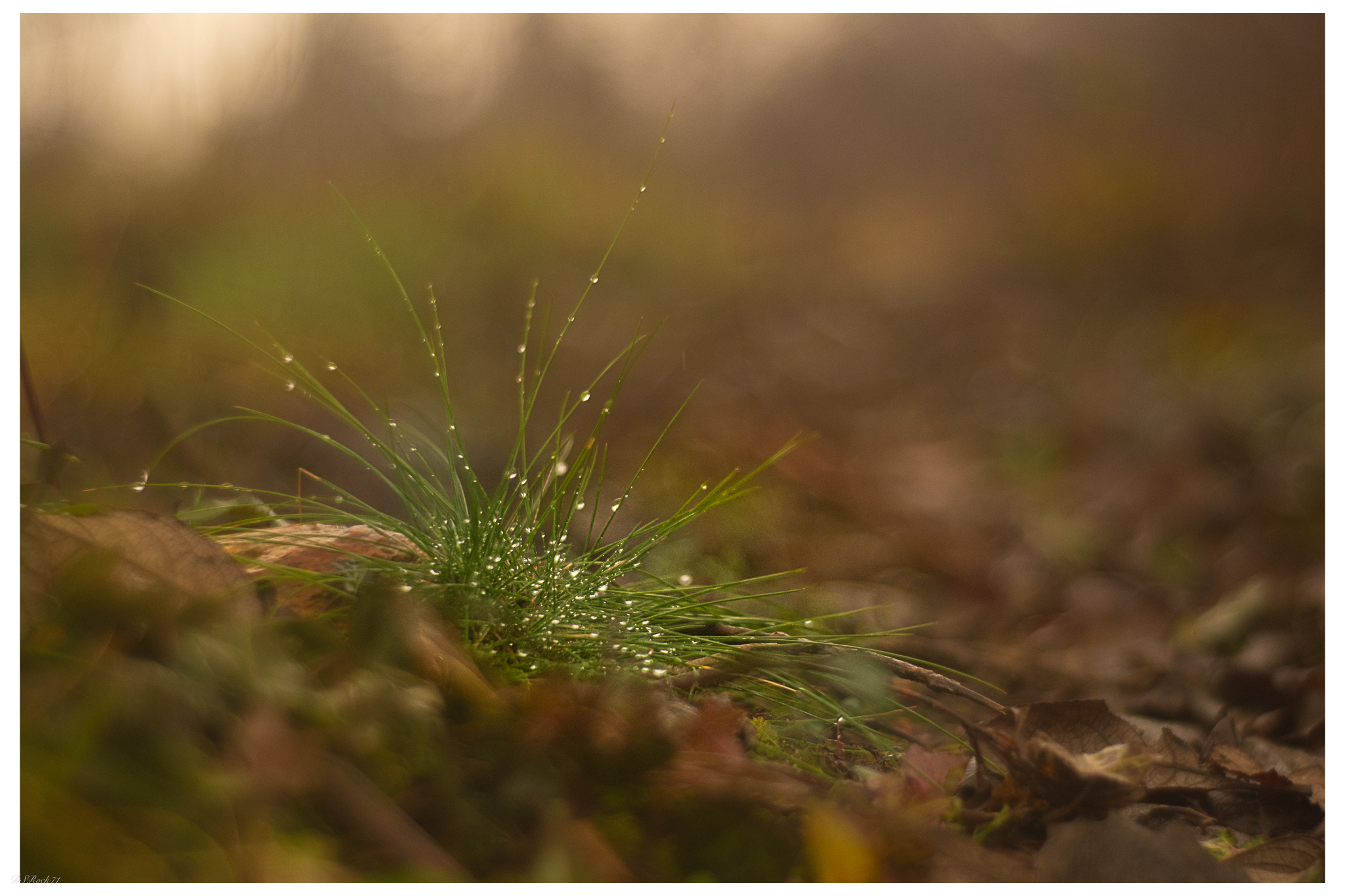 on a gloomy afternoon