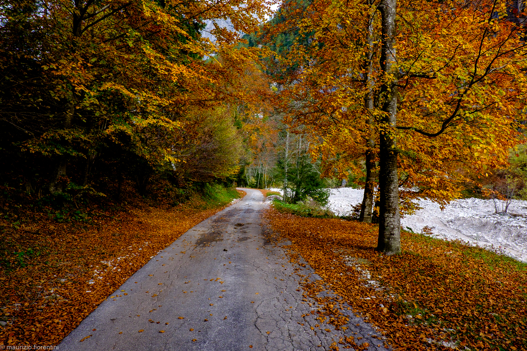 Autunno alla malga Canali
