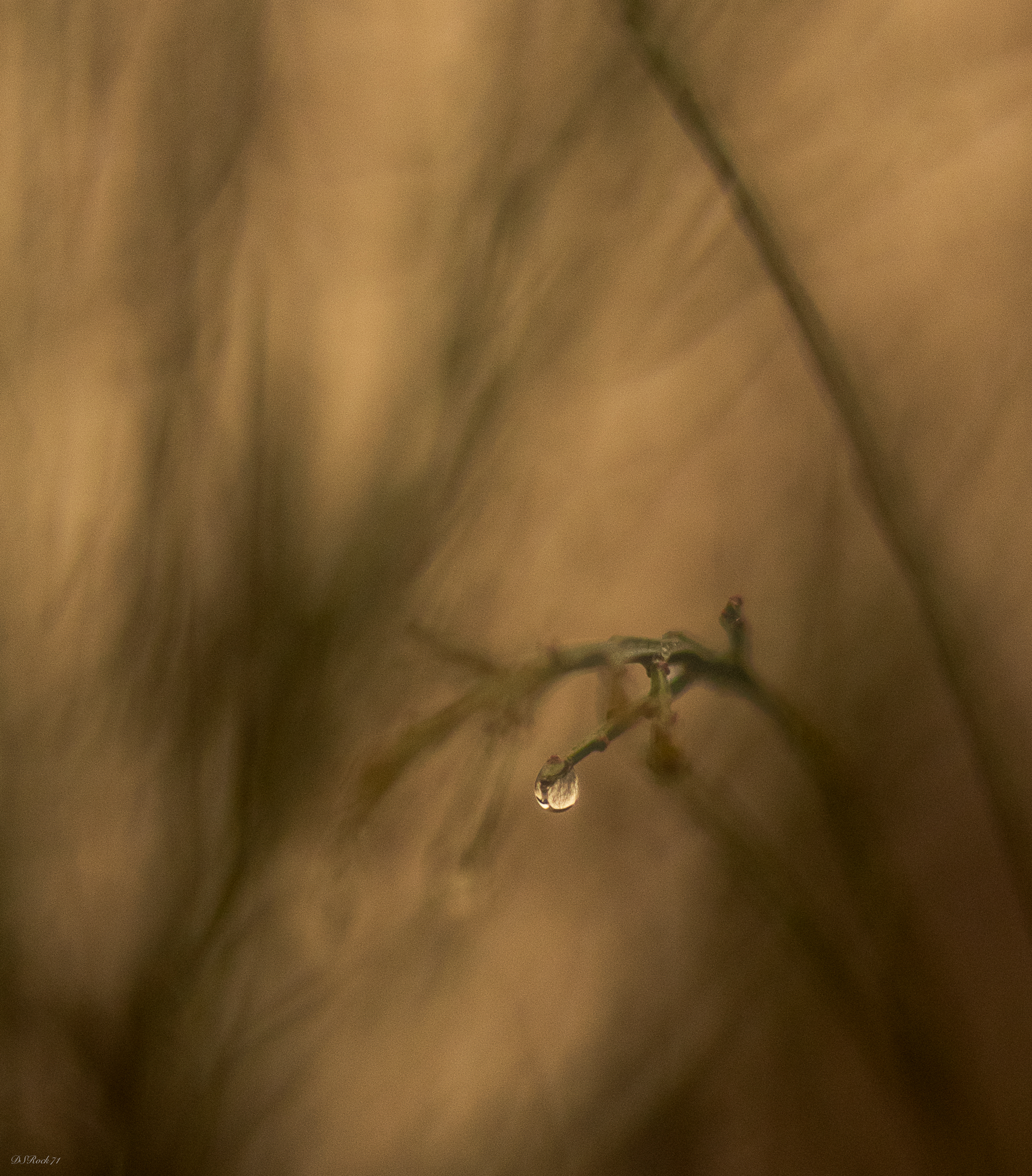 On a gloomy afternoon