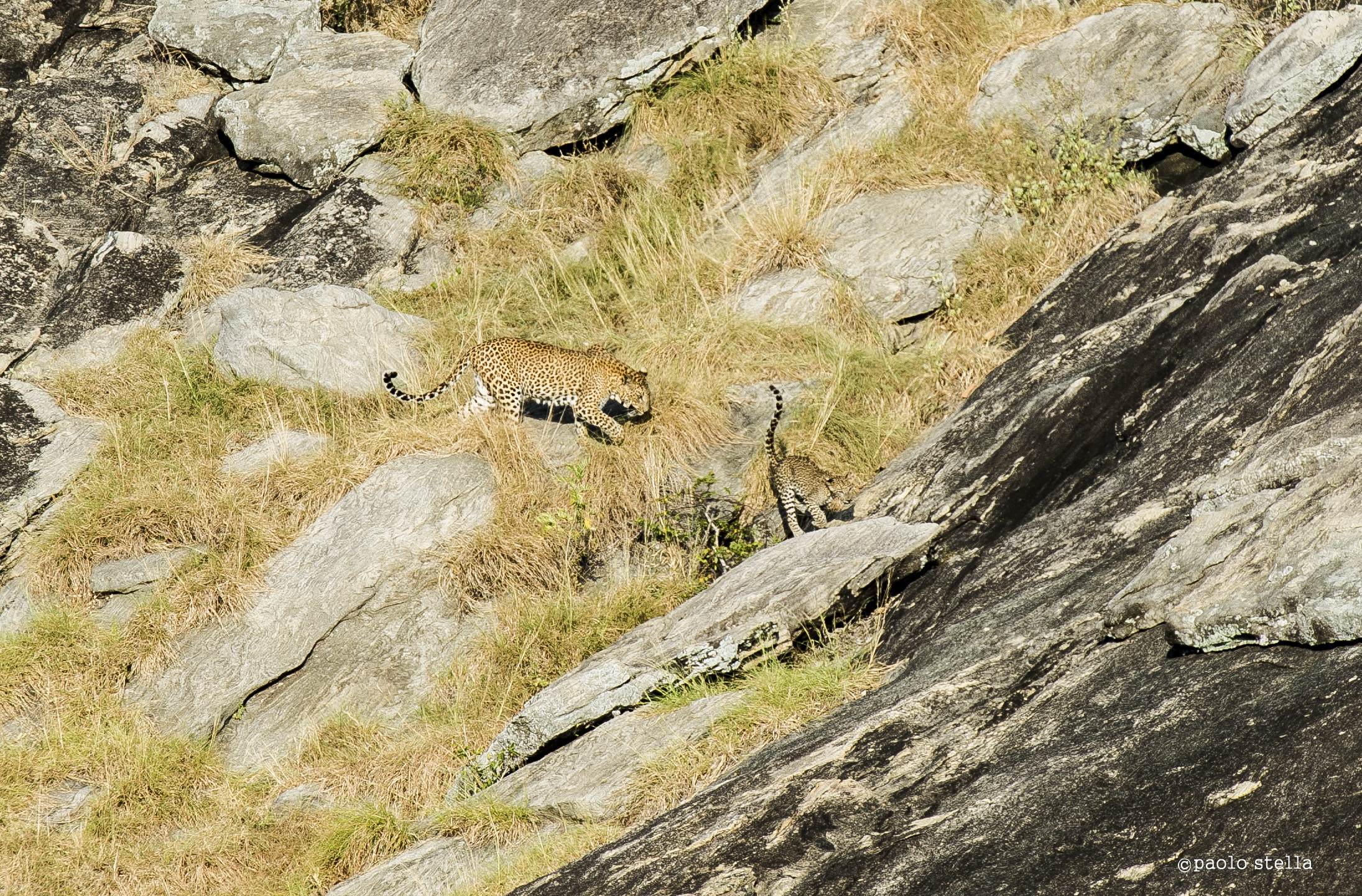running on the rocks