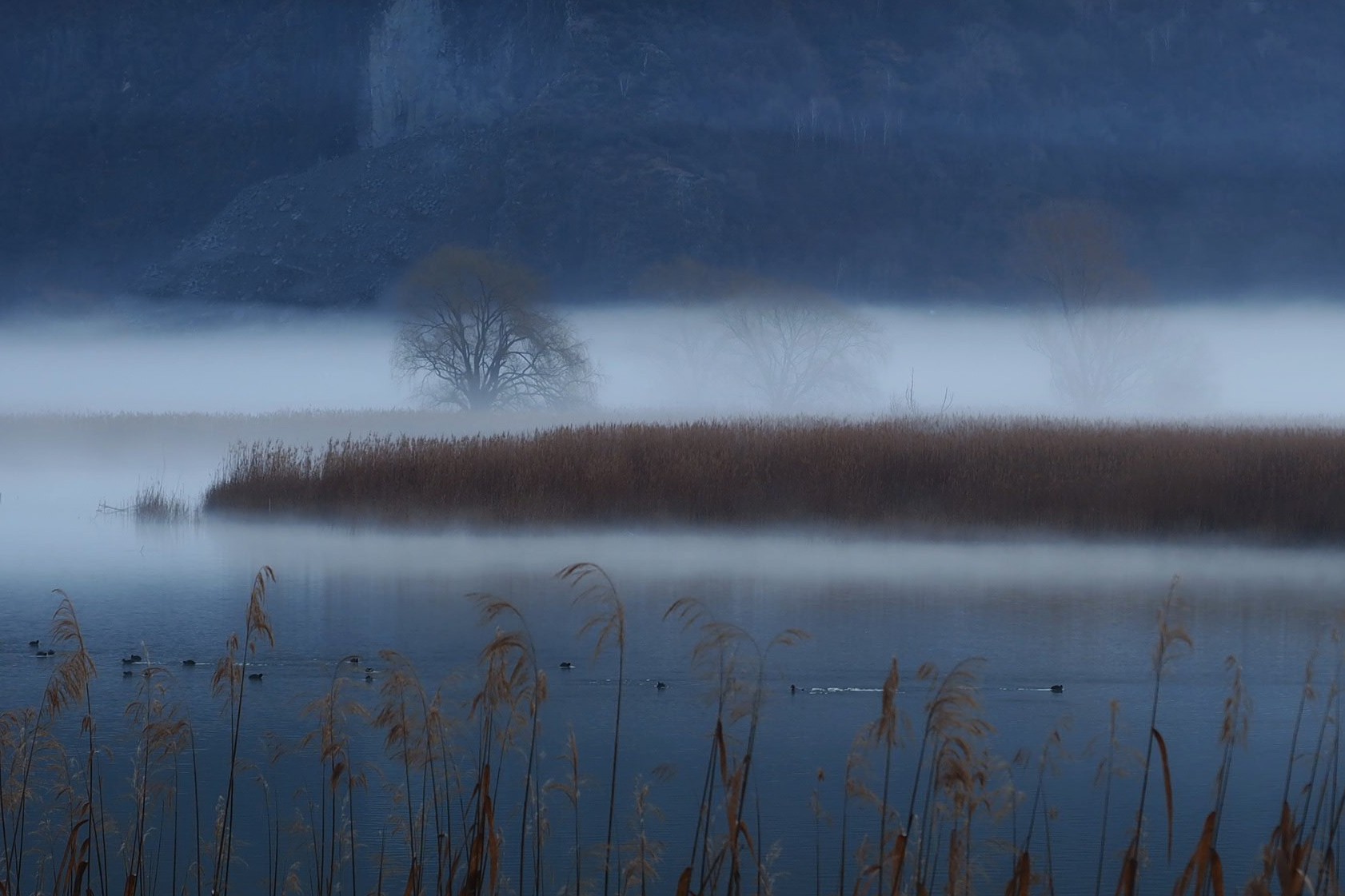 inverno su lago mezzola