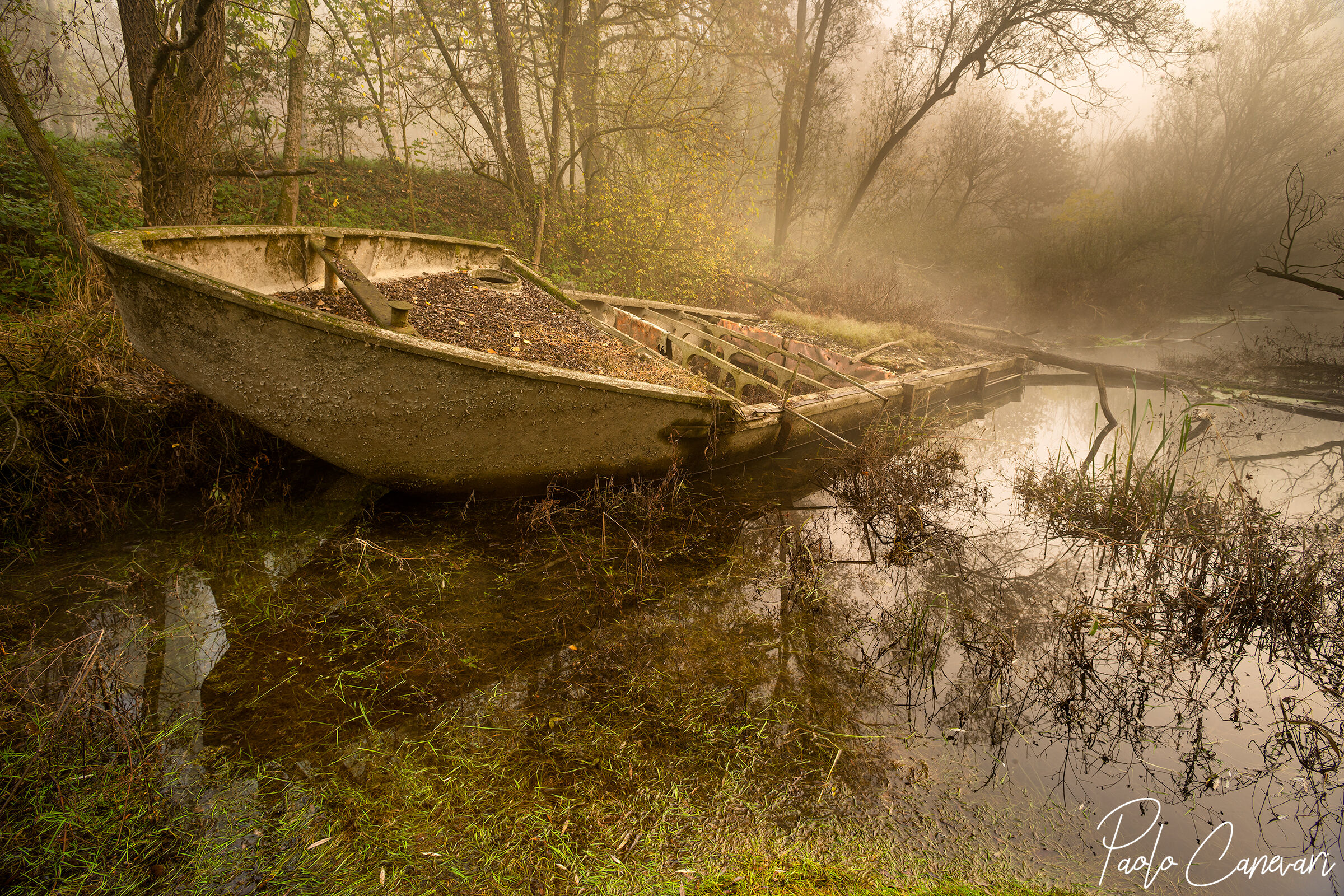 La forza della natura