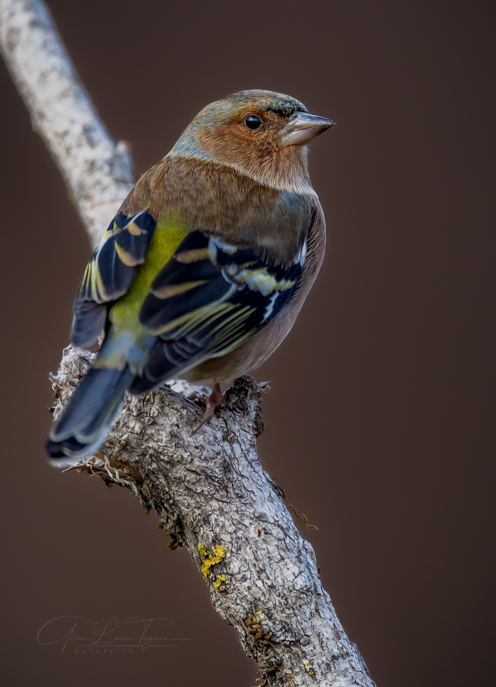 ti guardo negli occhi