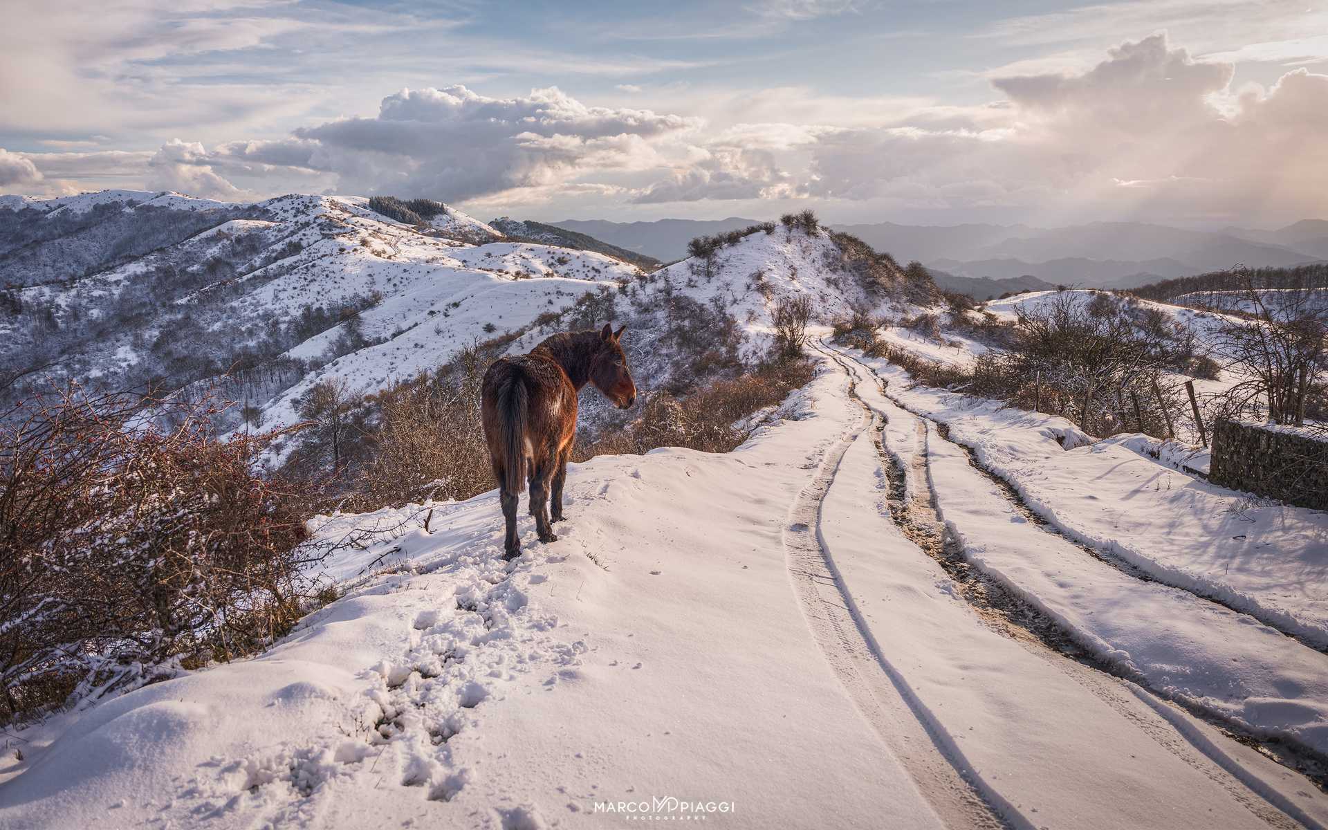 Alta Via Ligurian mountains