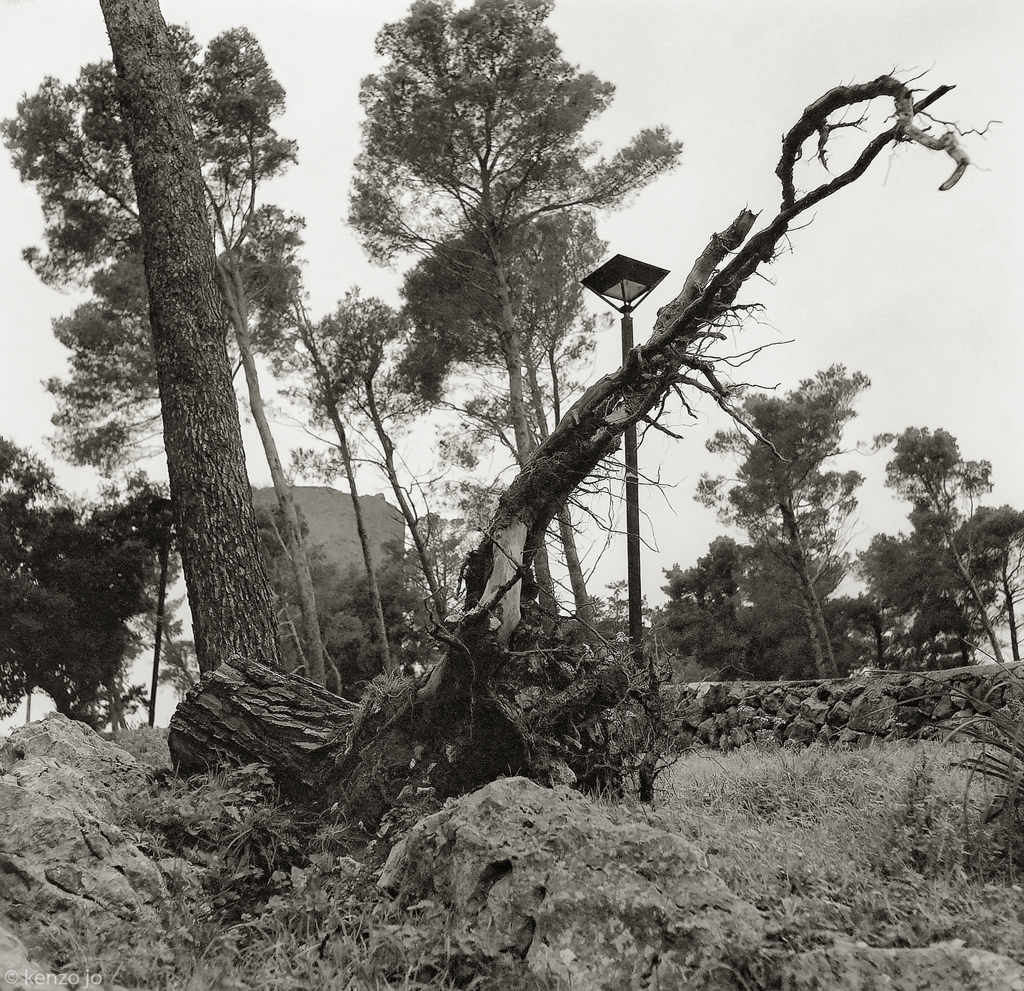 Qui dove urla il vento e il tempo è Storia.