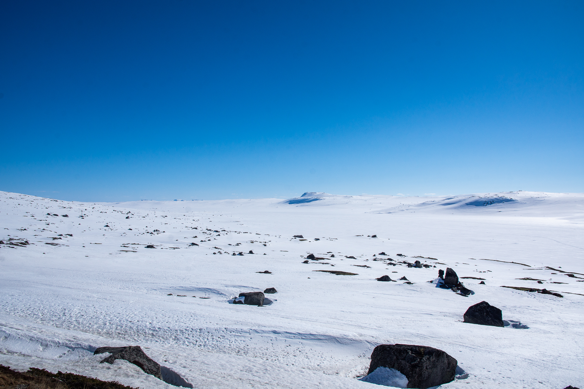 Hardangervidda plateau