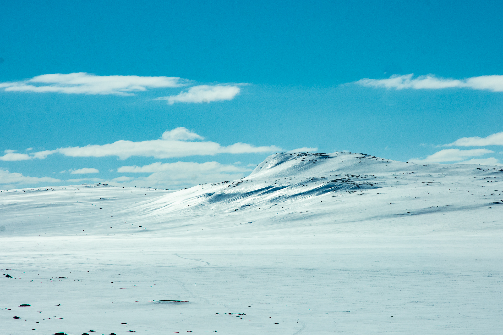 Hardangervidda landscape