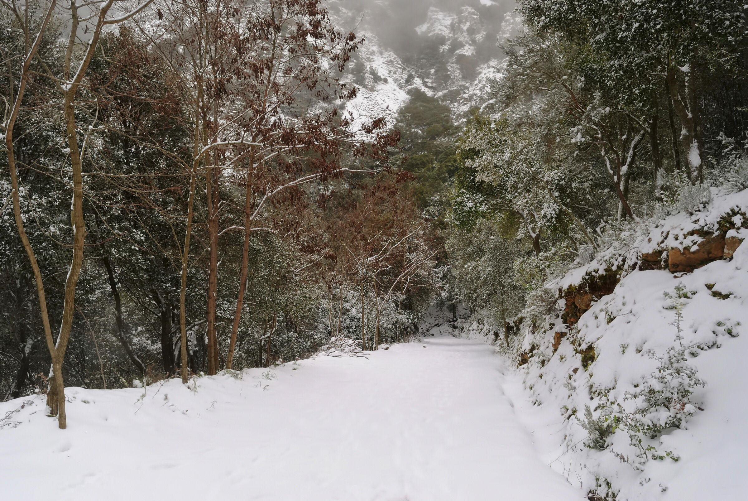 Finalmente la neve anche in Sardegna ...