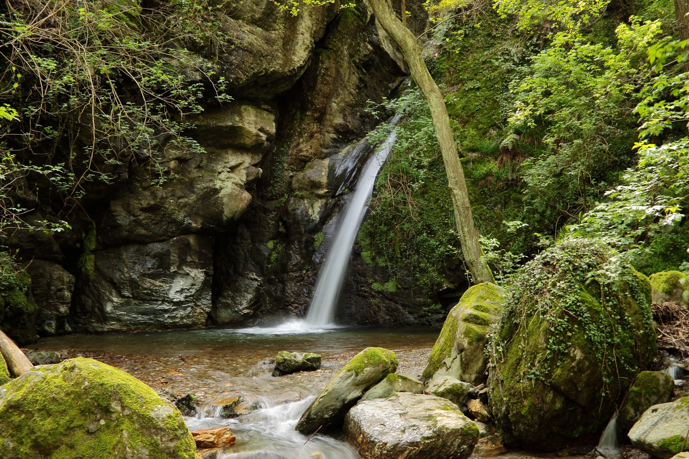 Waterfall Donnaiola.