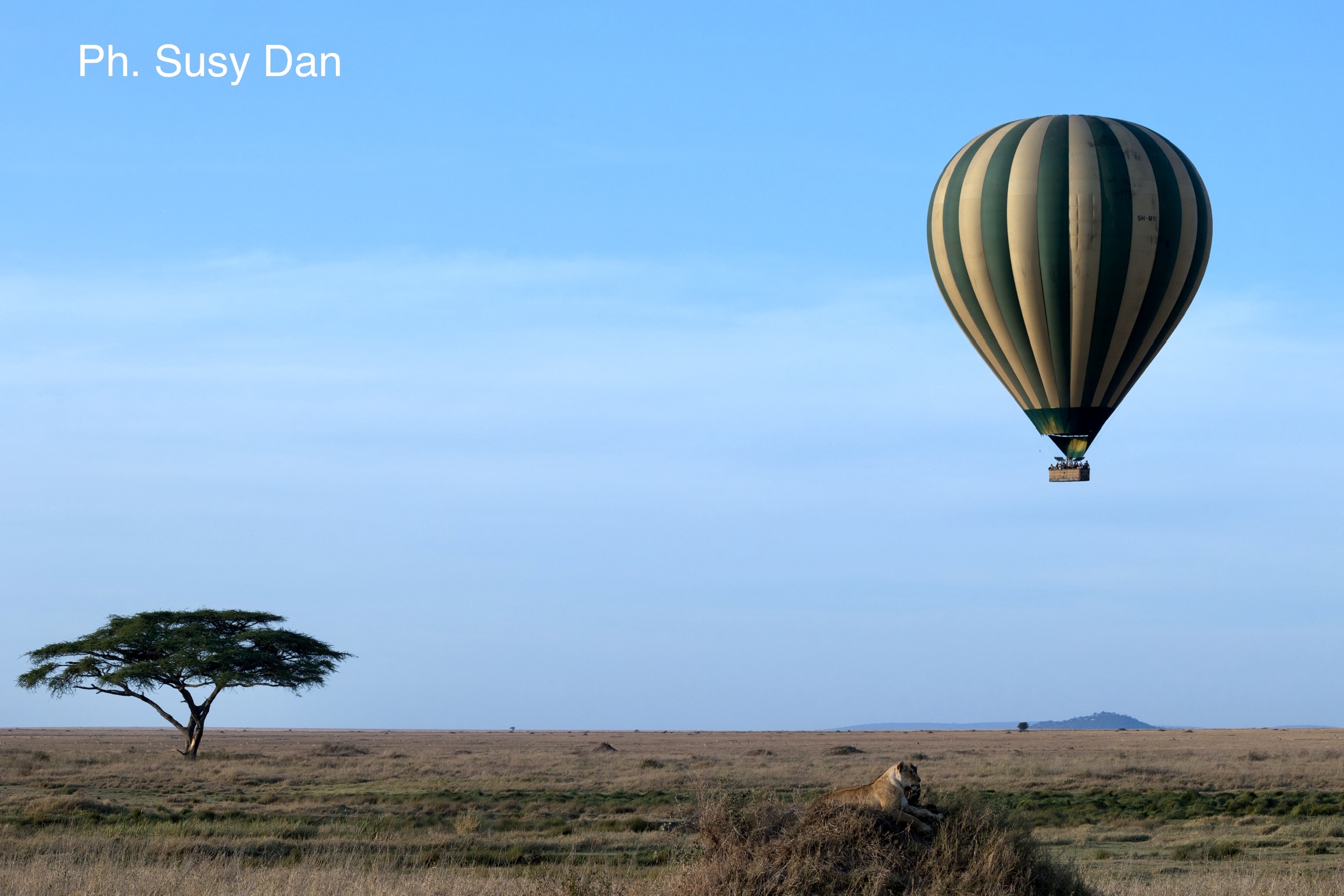 Postcard from Africa