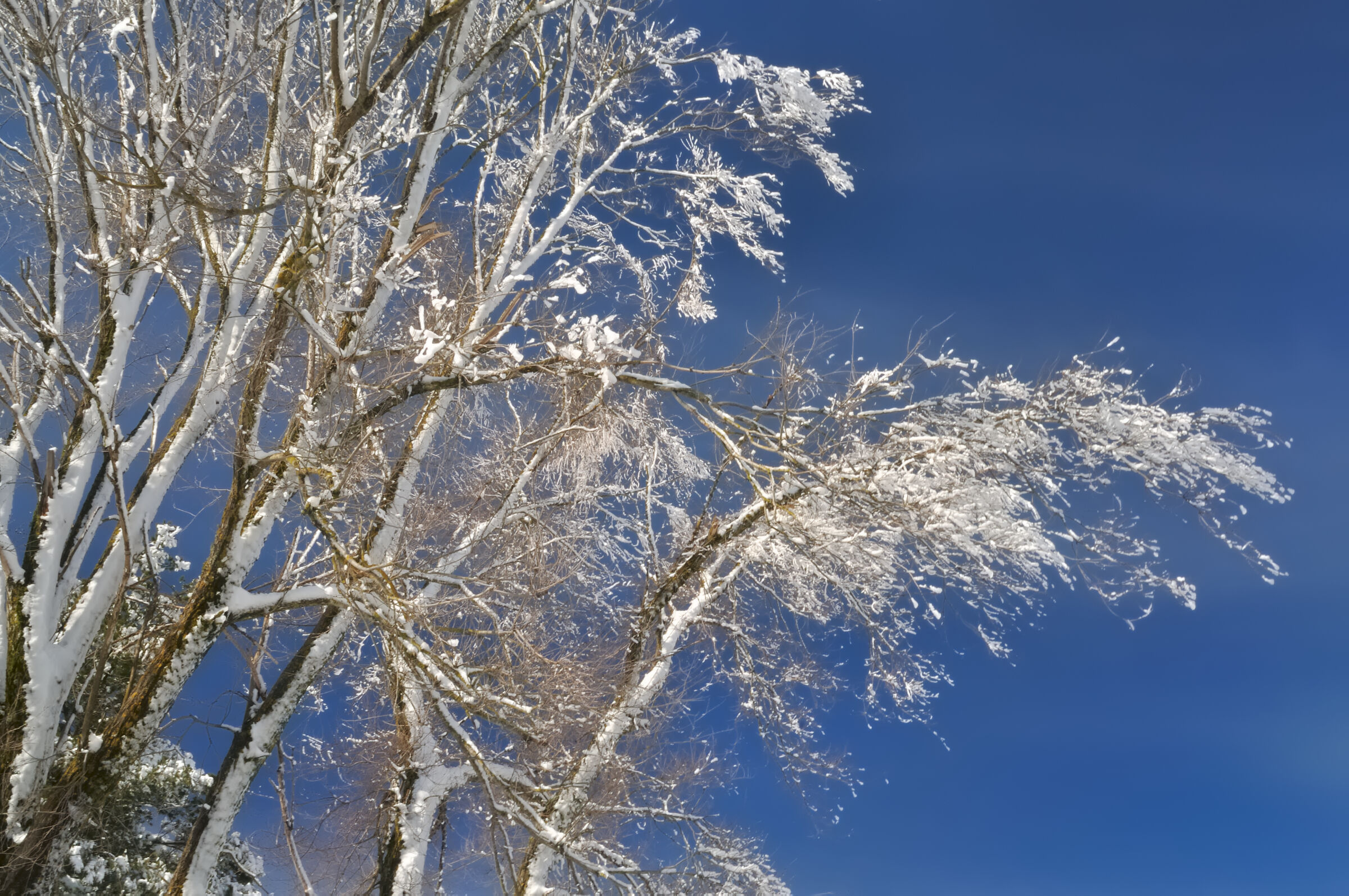 Una cartolina dalla Sardegna ...