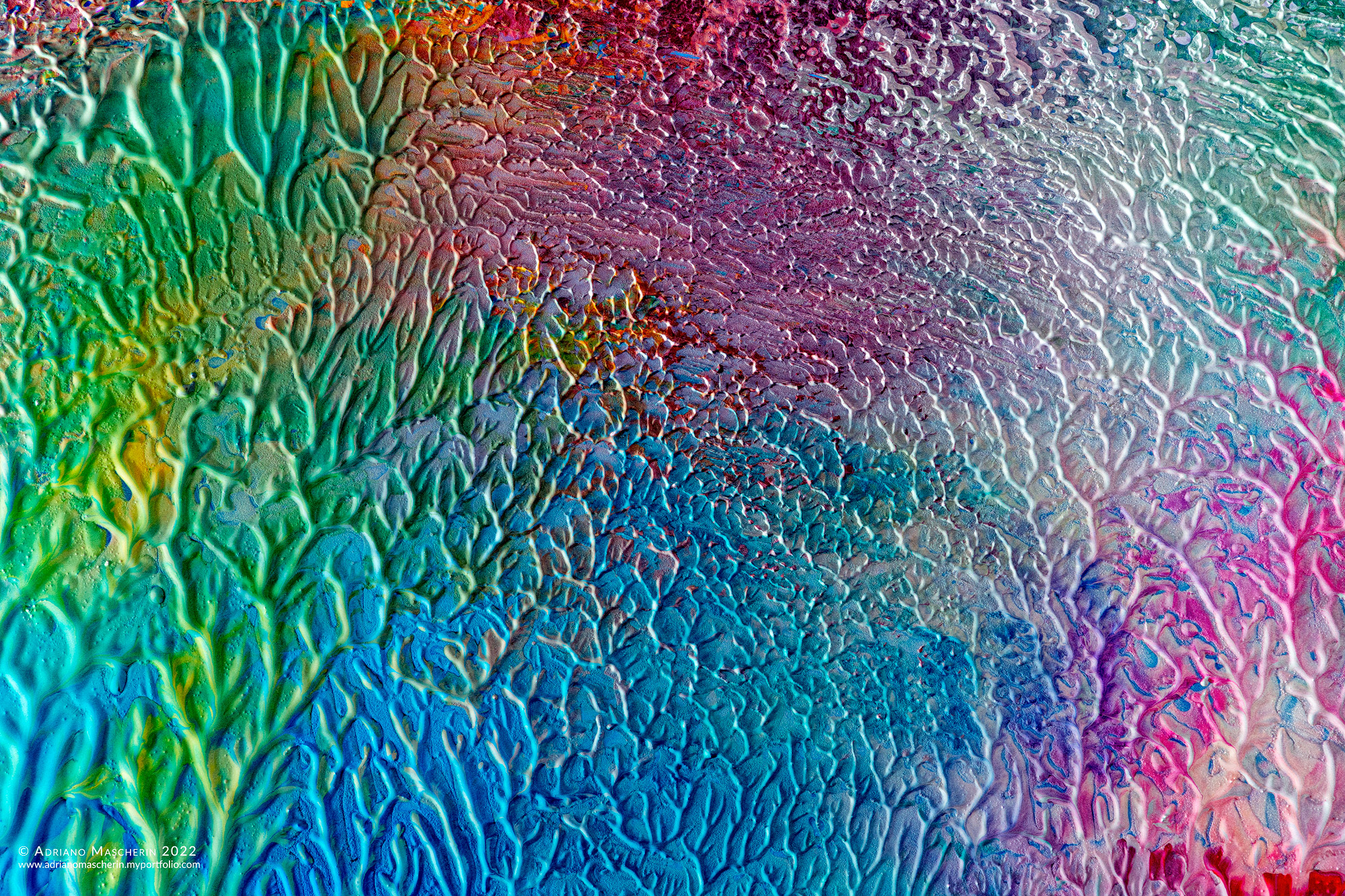 Barriera corallina ... fantastica