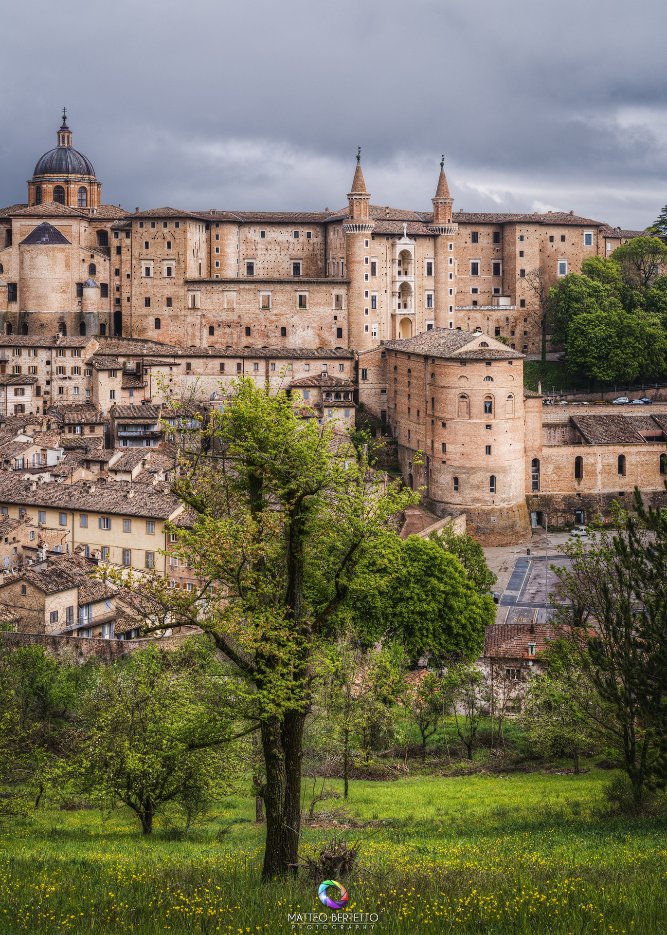 Urbino
