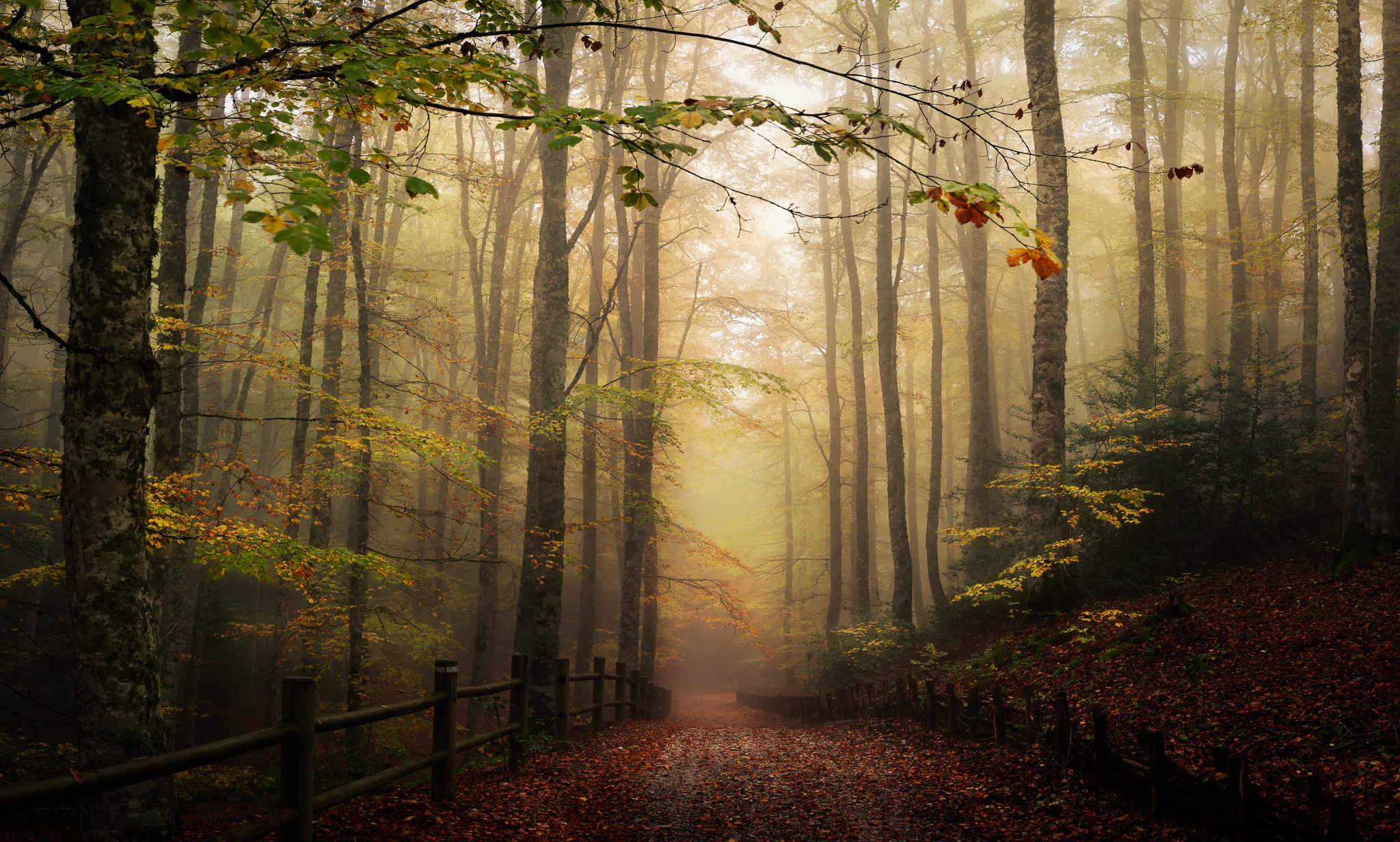 Atmosfere d'autunno_01
