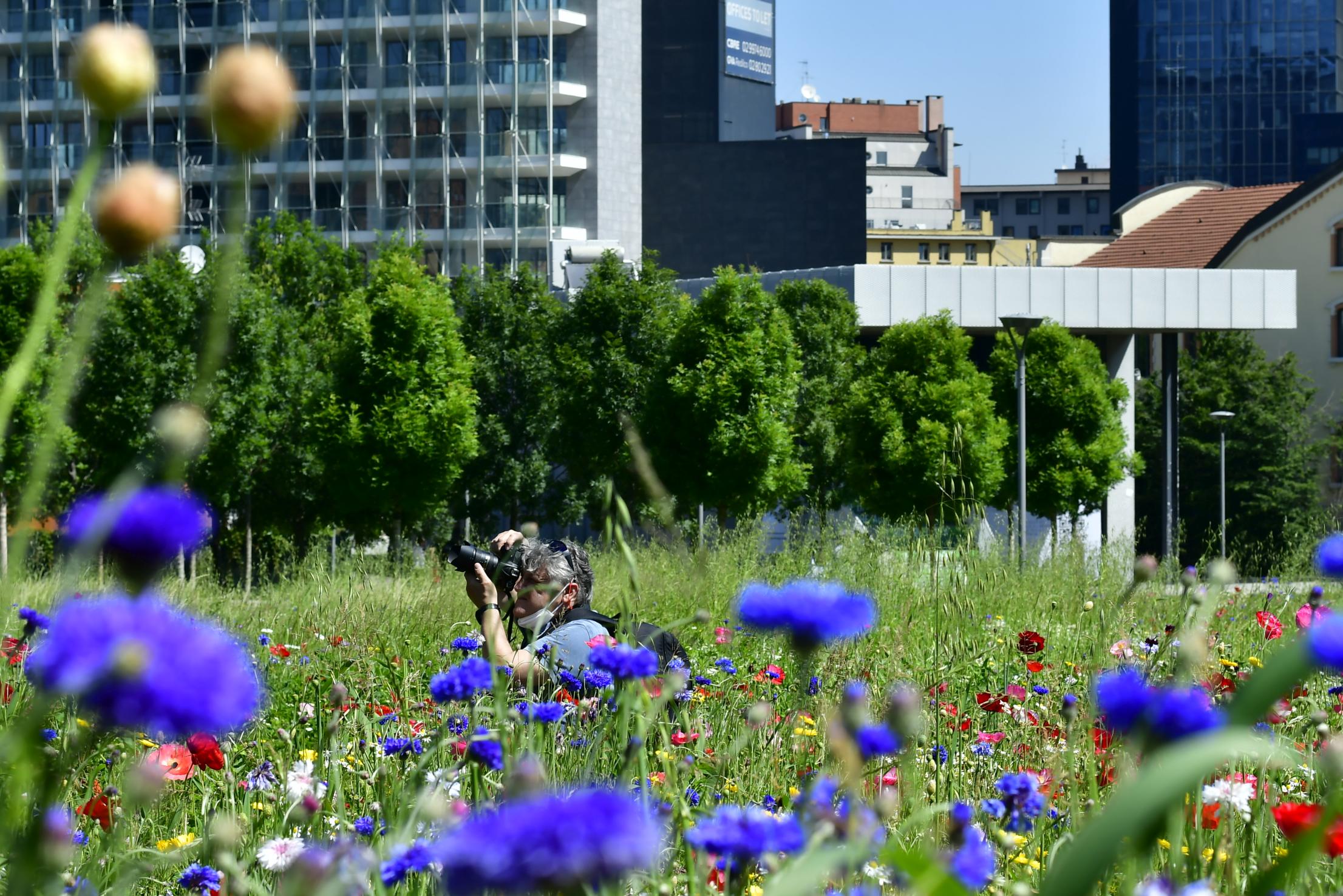 Milan 06
