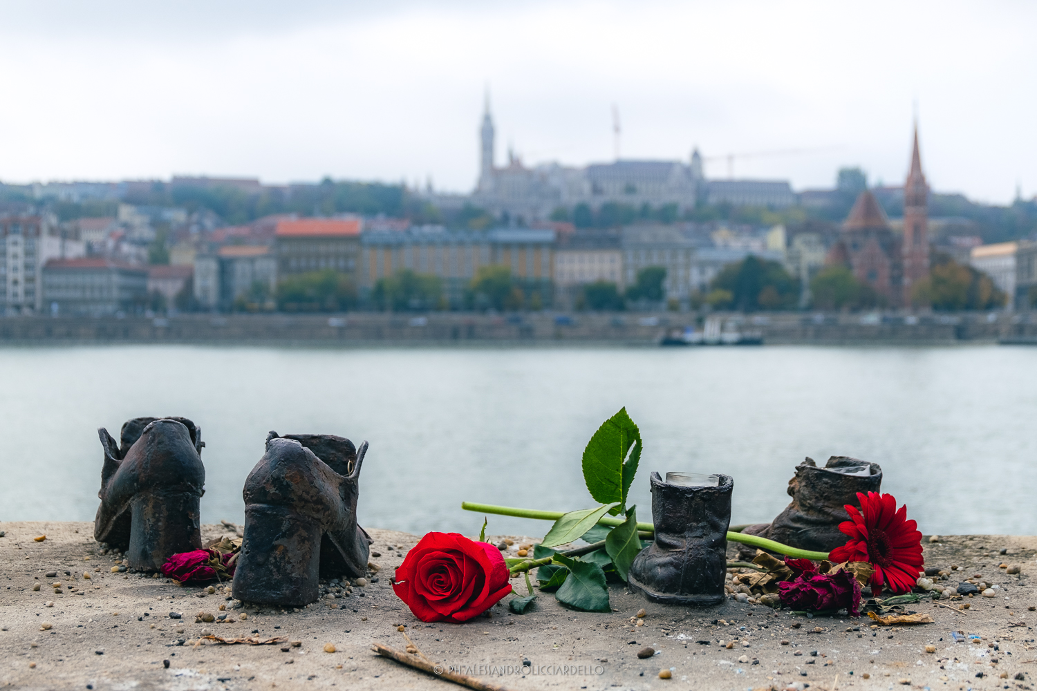 Shoes on the Danube