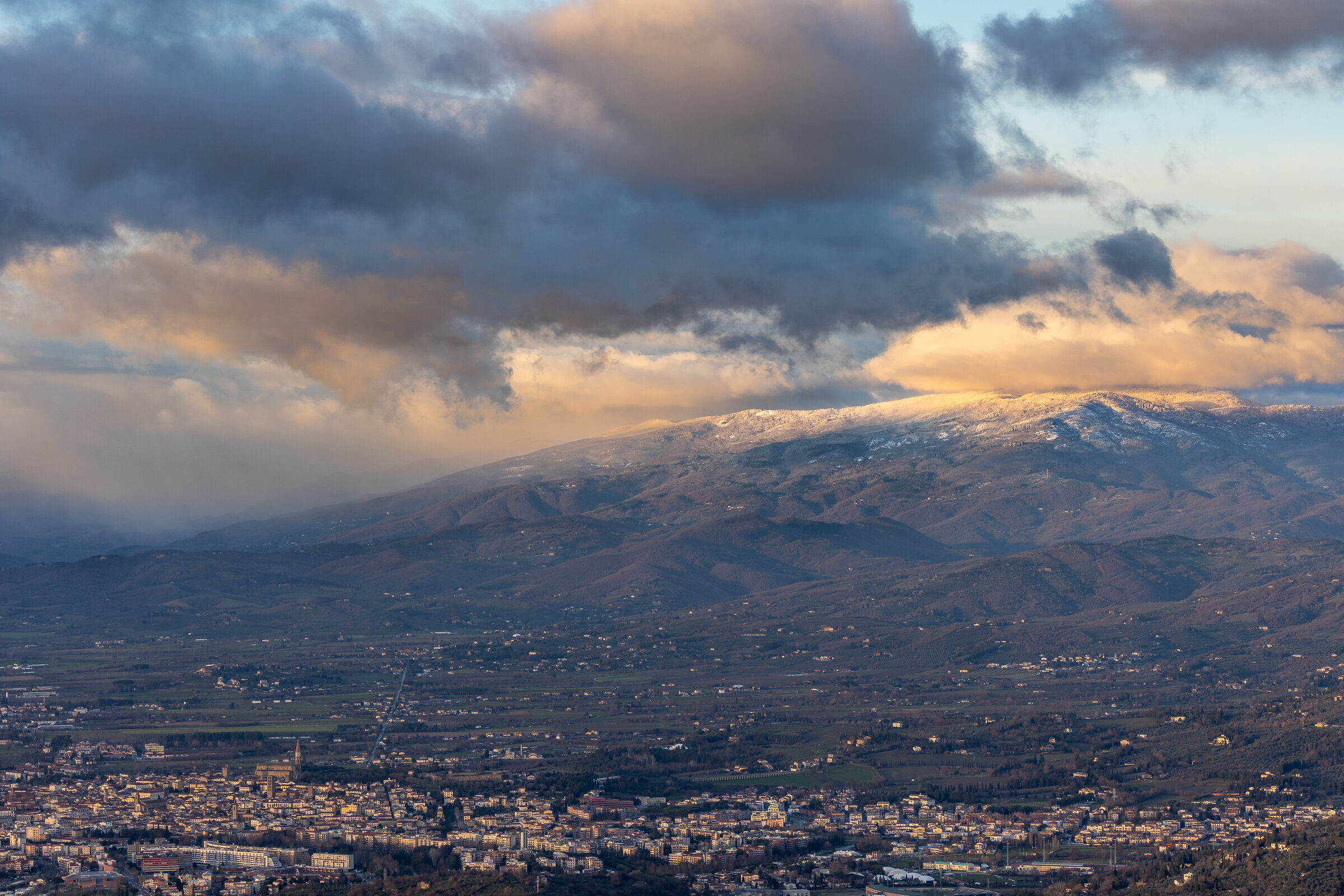 Arezzo