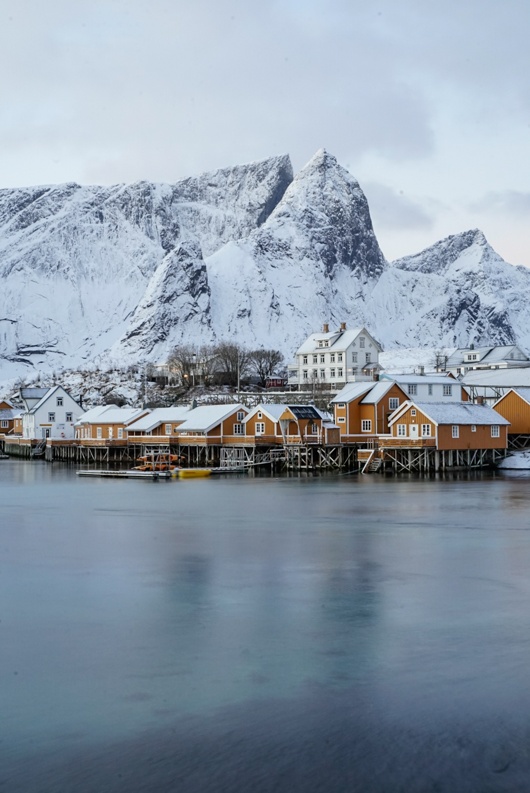 Reine