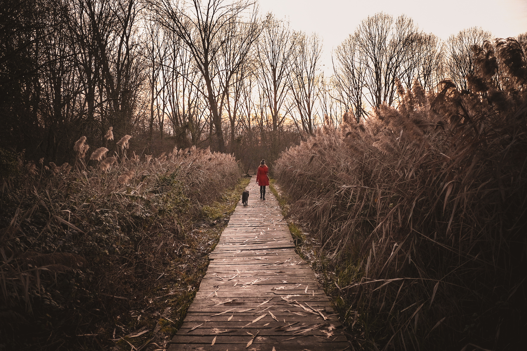 A walk in the nature