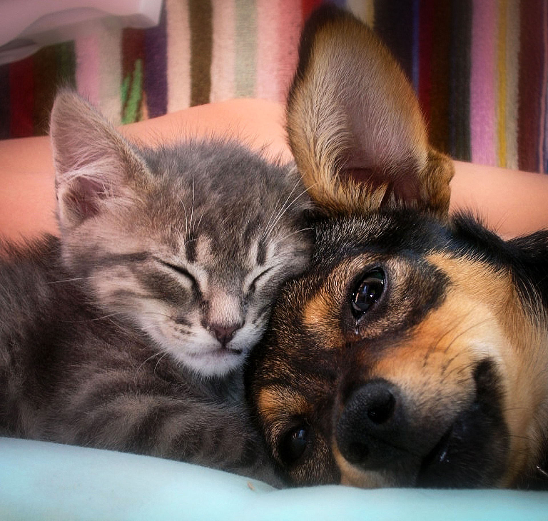 Friendship