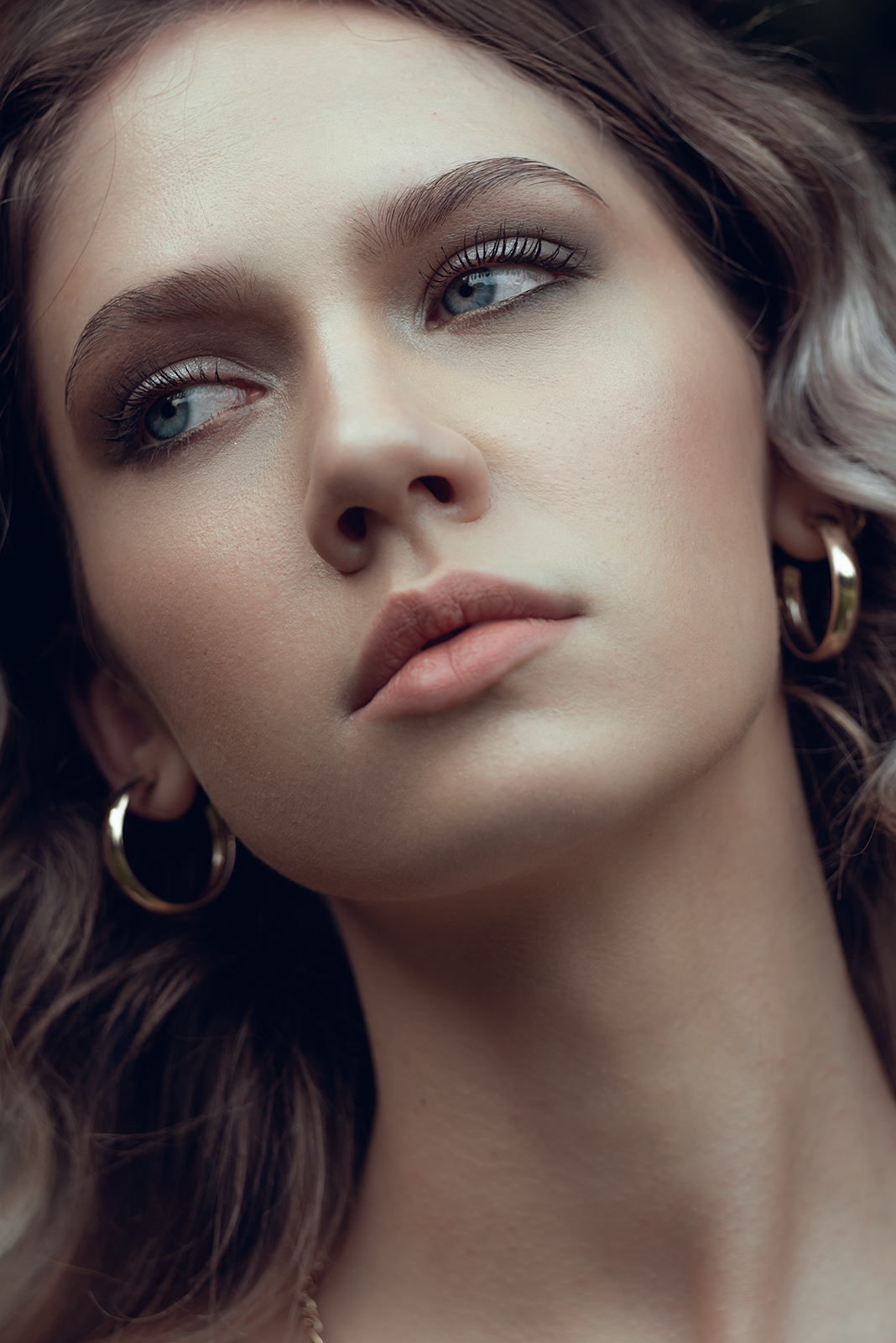 Meyer Optik Trioplan 120mm at f/4.5