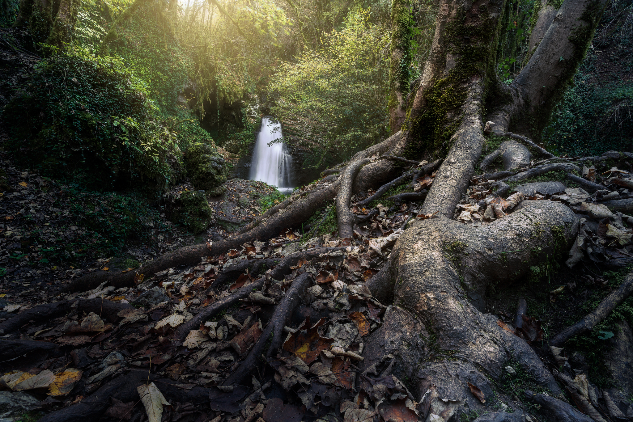 cascata di trevi