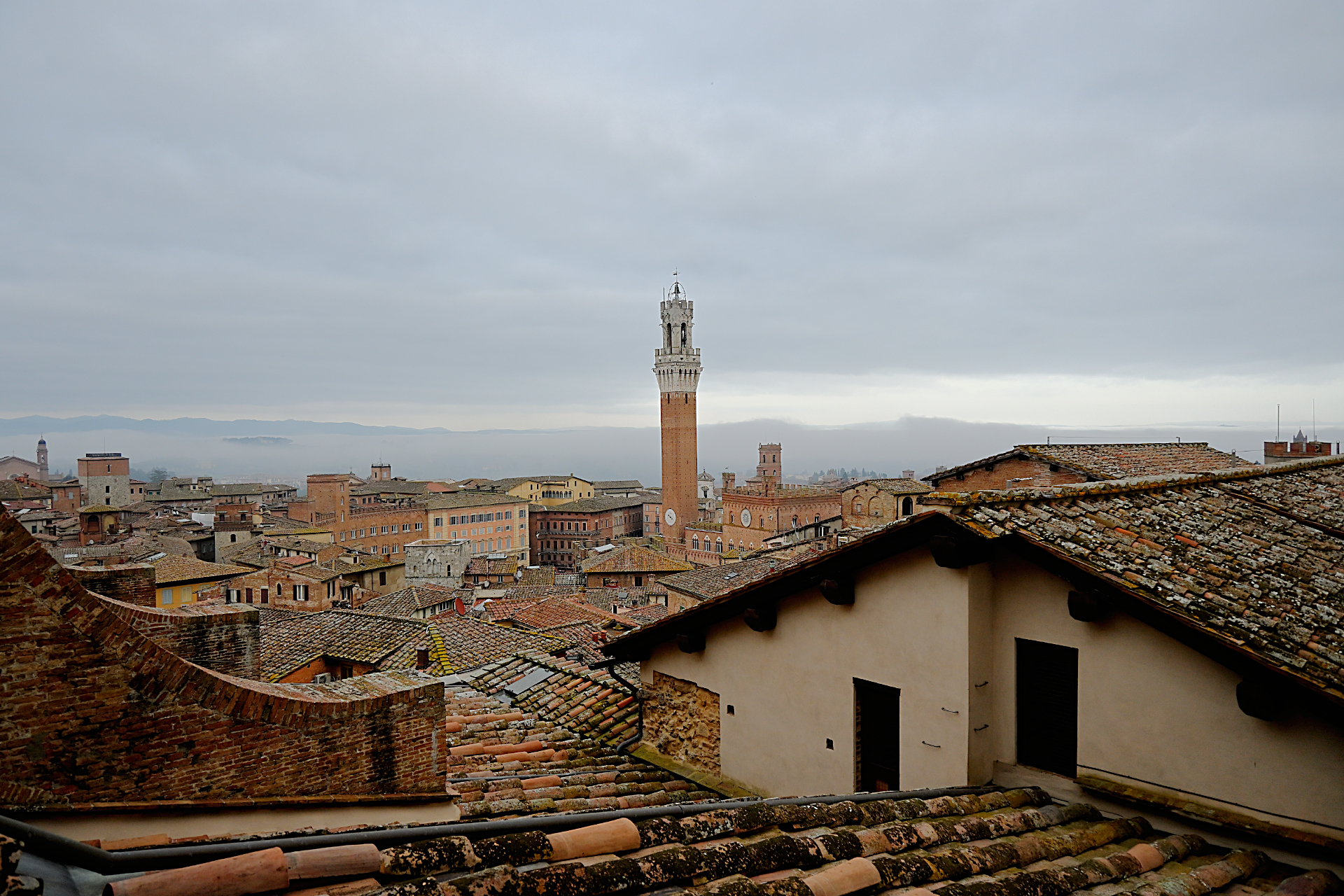 Siena