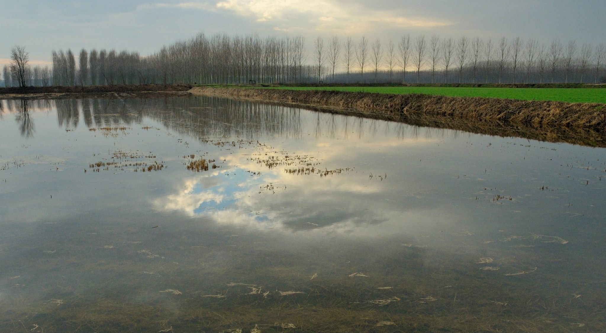 riflessi