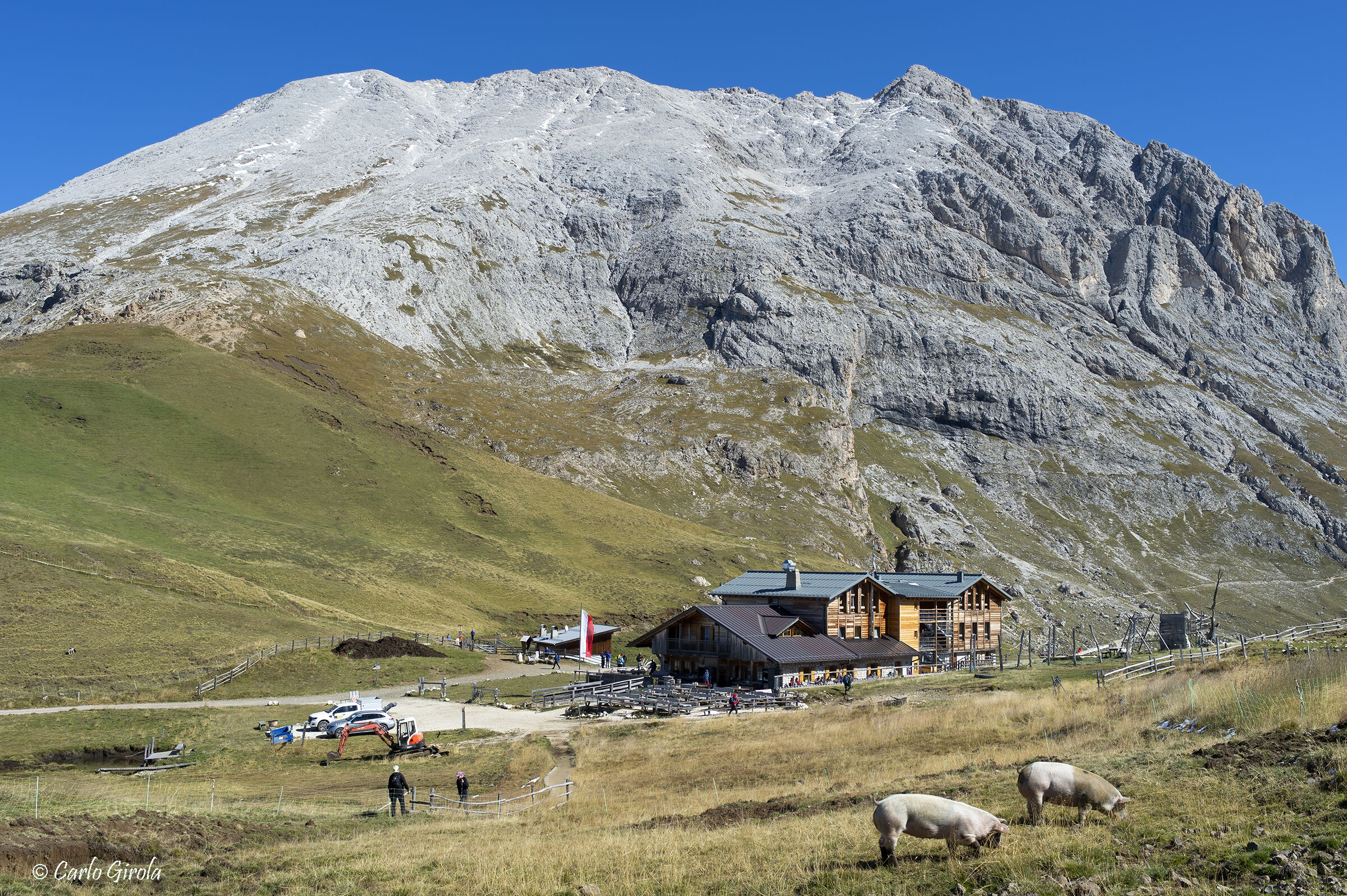 The pigs of Sasso Piatto