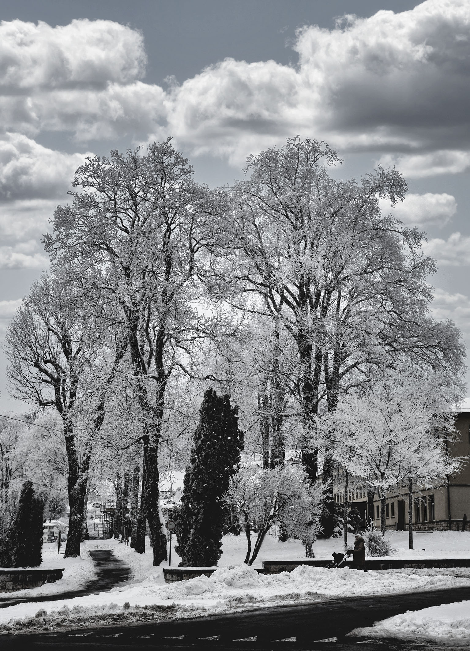 Il parco ghiacciato, Sainte-Croix, Vaud, Svizzera