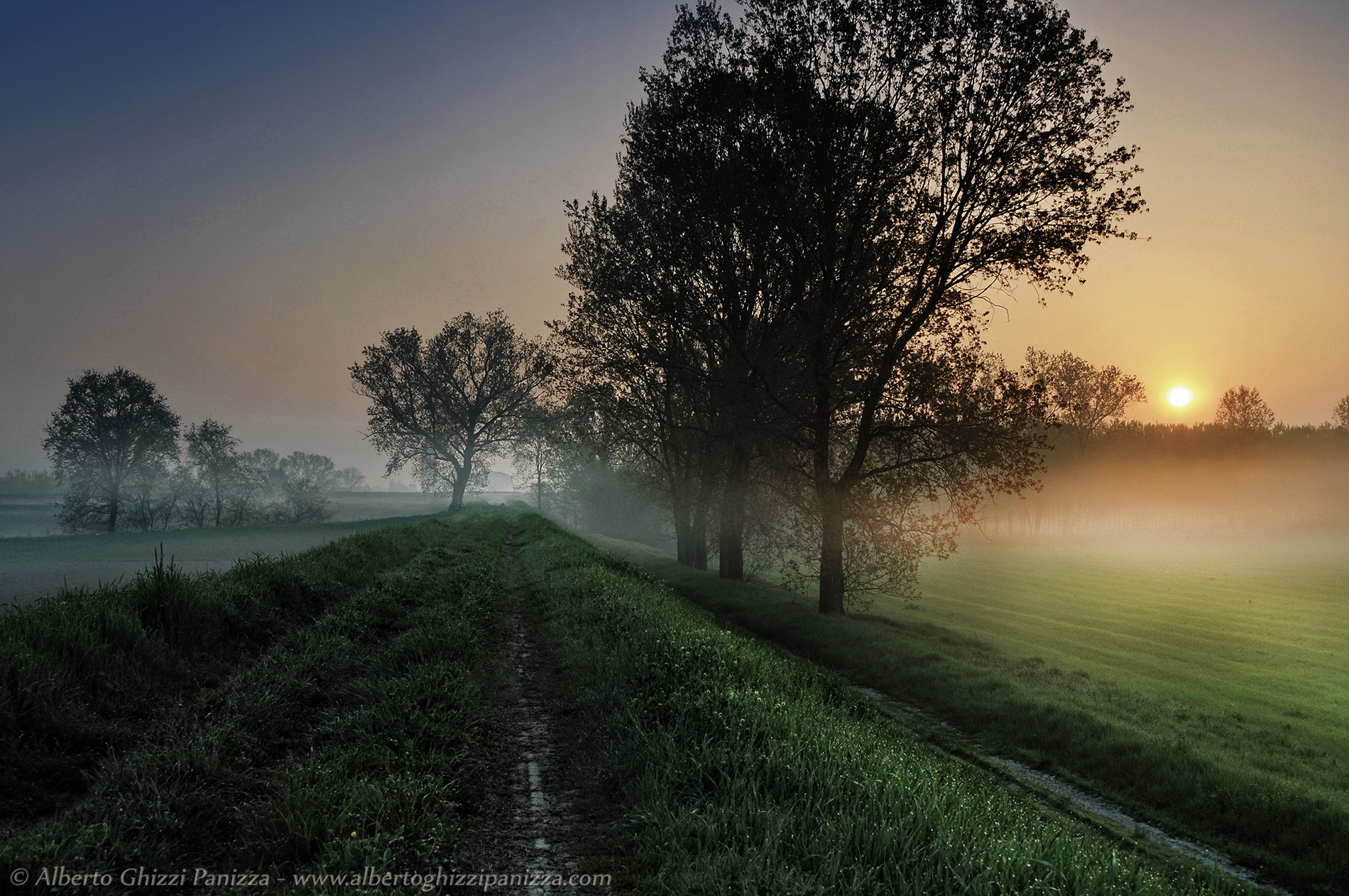 Alba tra le nebbie degli argini del Po