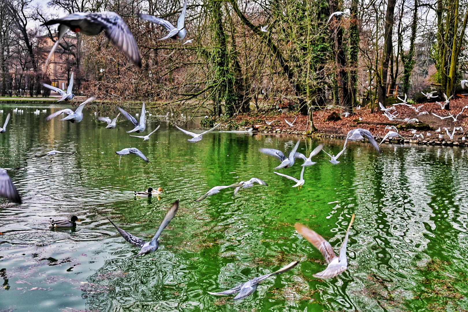 Parma ducal garden