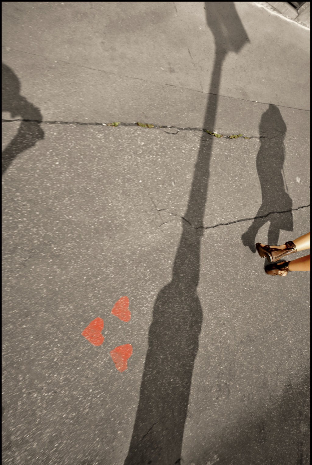 Shadows of a photo